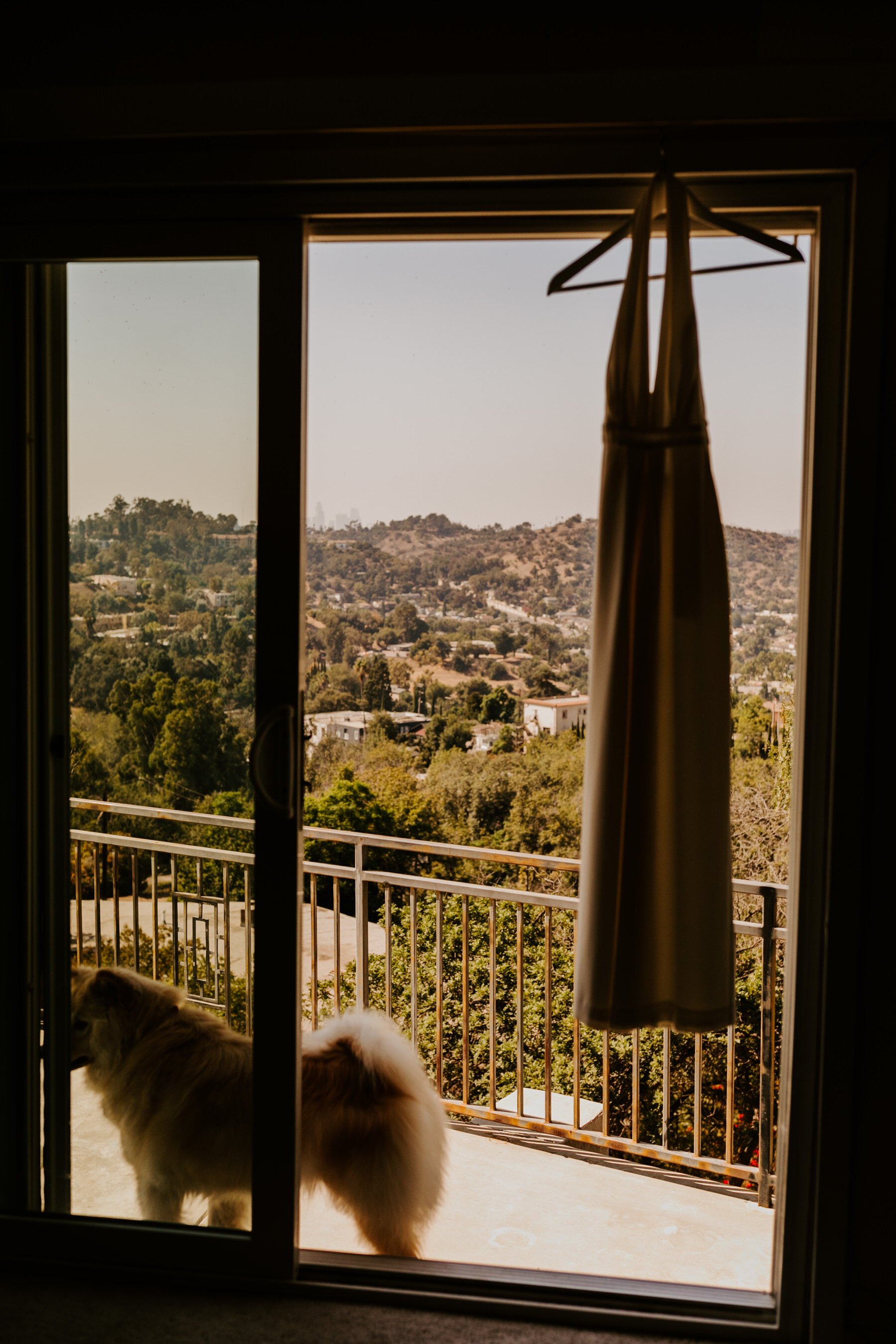 wedding jumpsuit detail photo looking over skyline window view and dog | Tida Svy | www.tidasvy.com