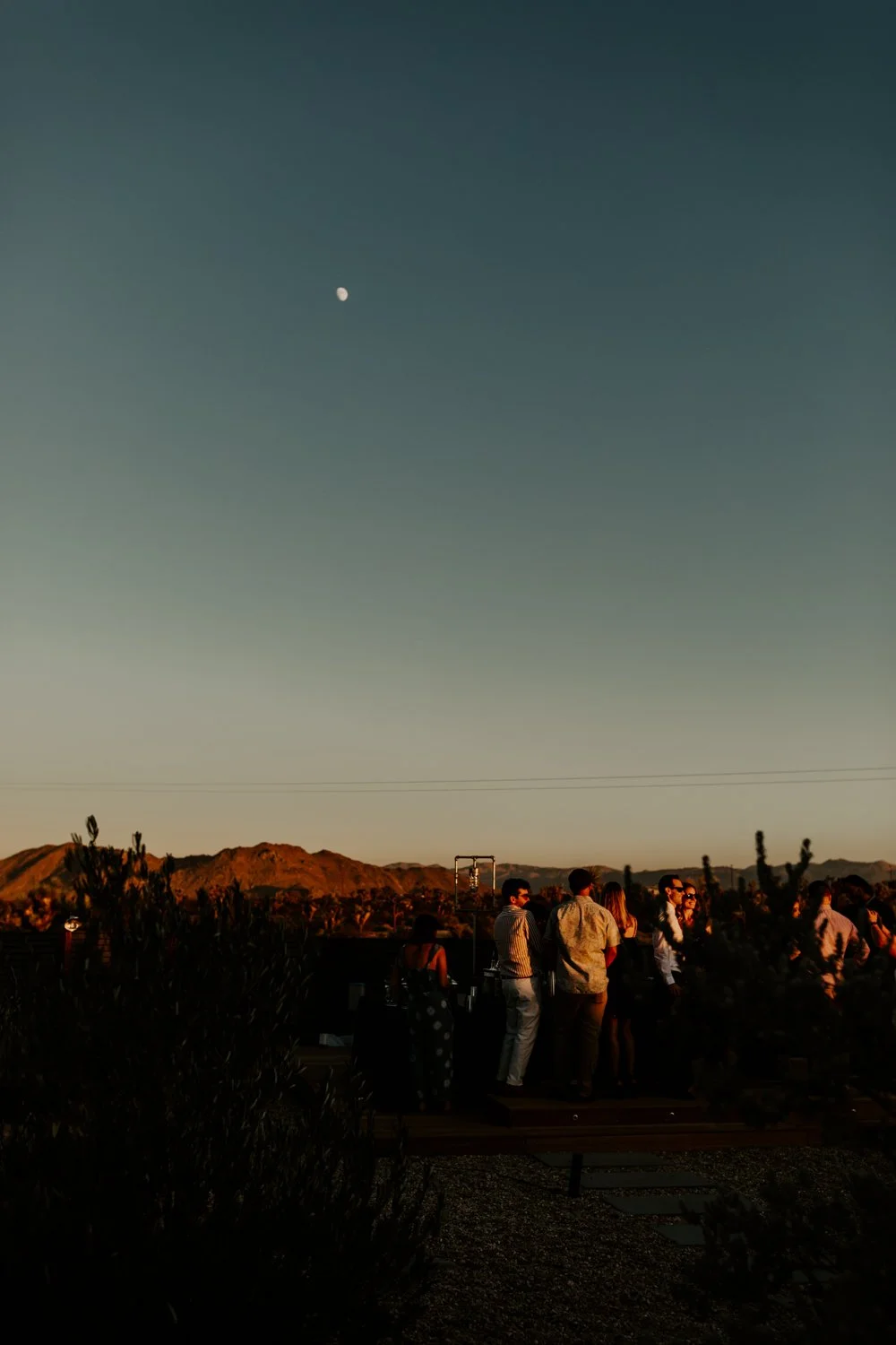Joshua Tree Wedding Photographer | JT Serenity Escape Airbnb Wedding | Tida Svy | www.tidasvy.com