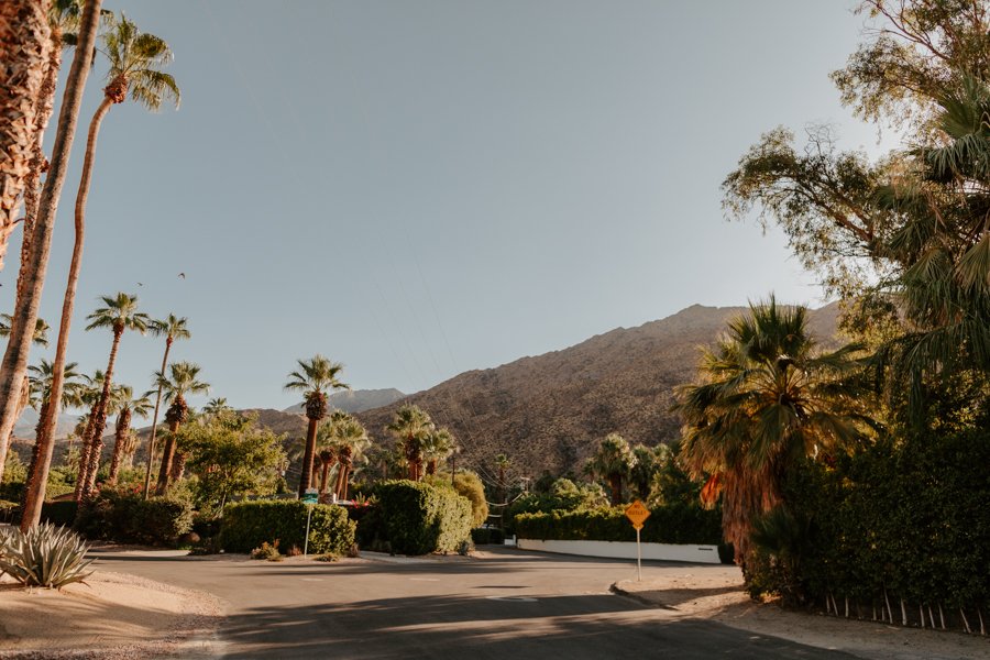 Palm Springs Engagement Session | Los Angeles Wedding Photographer | Tida Svy | www.tidasvy.com