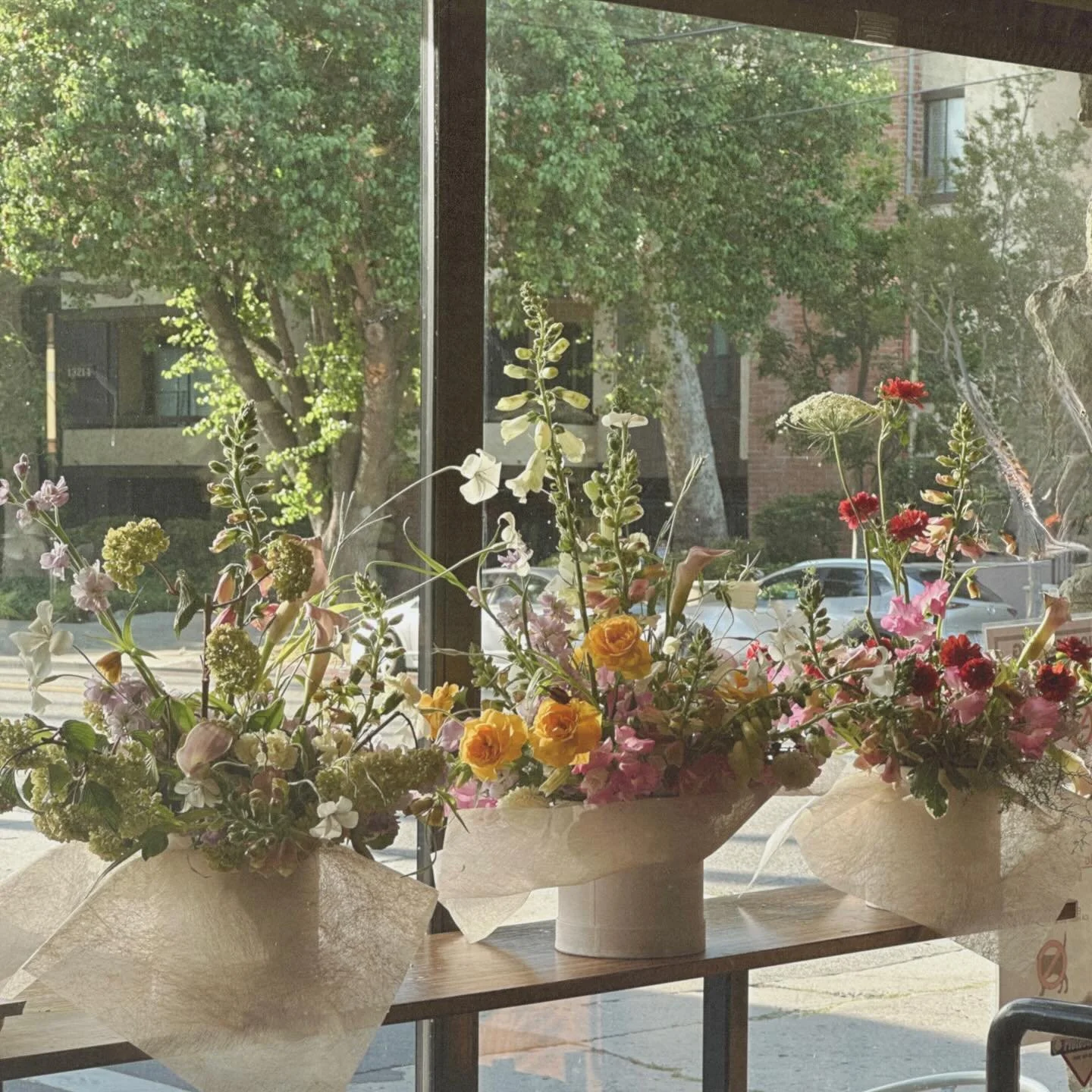 Florals in bloom 🤍