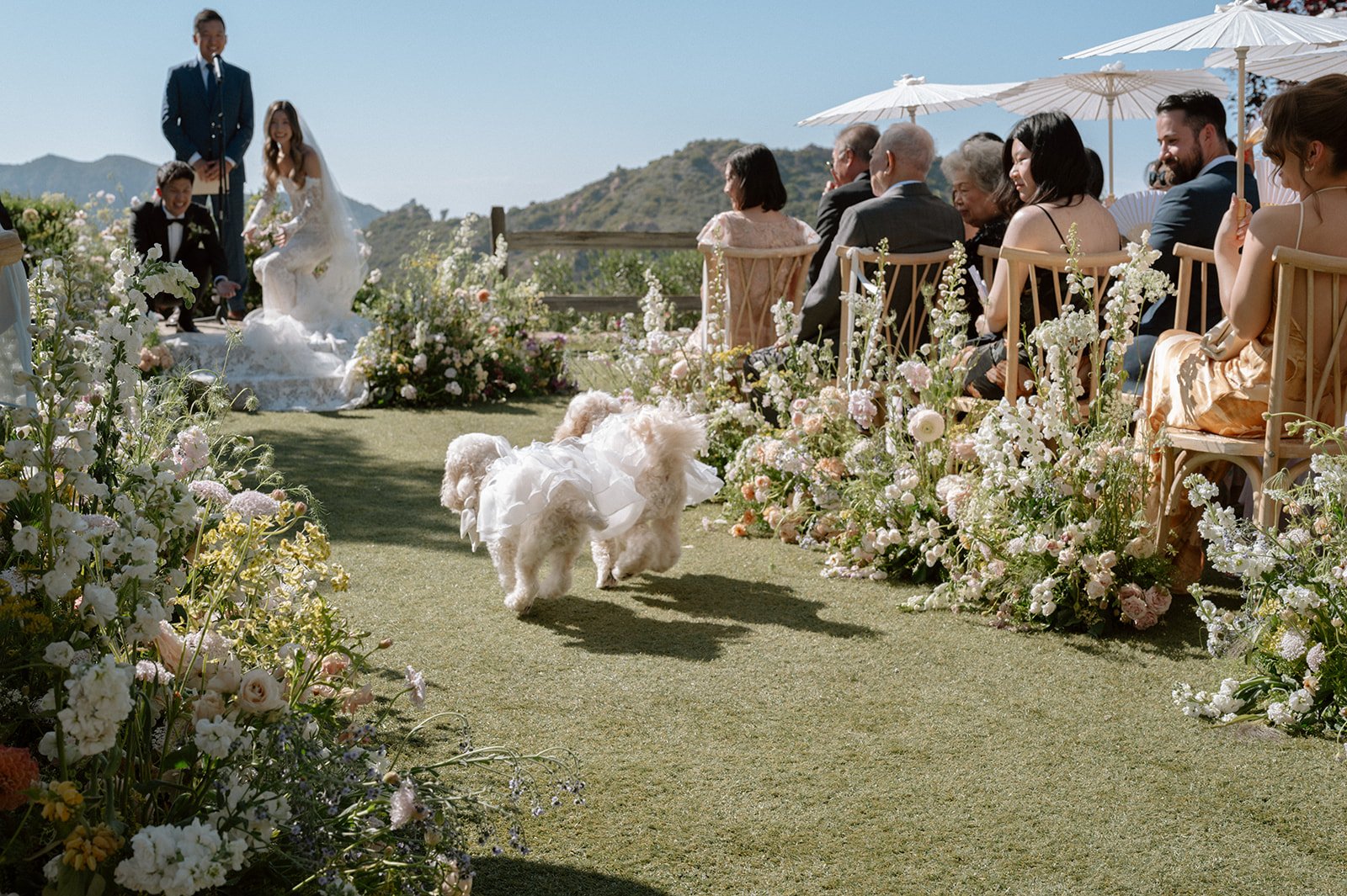 KyseenWilliamWeddingPreview-50.jpg