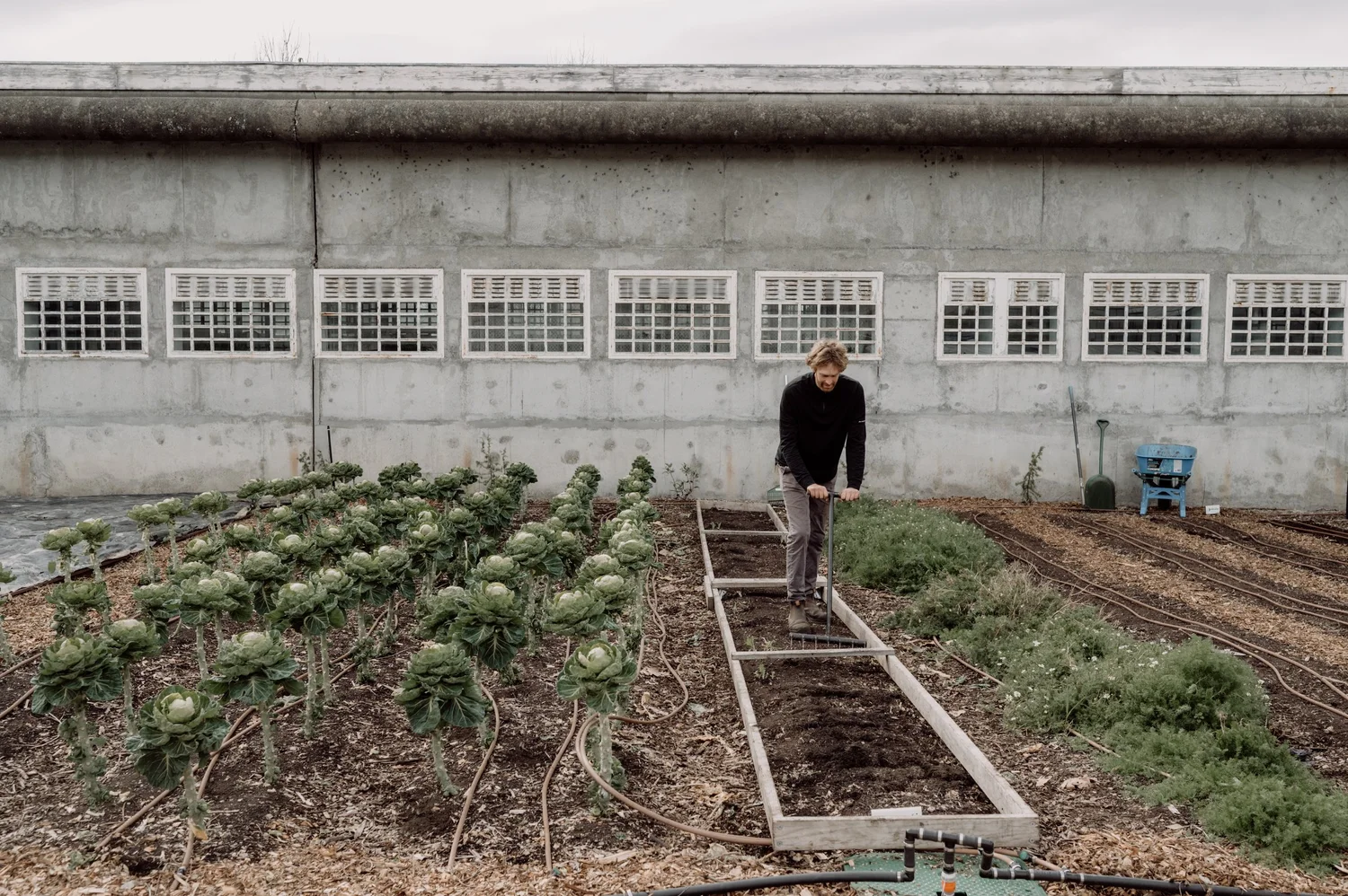 The Agrarian Kitchen
