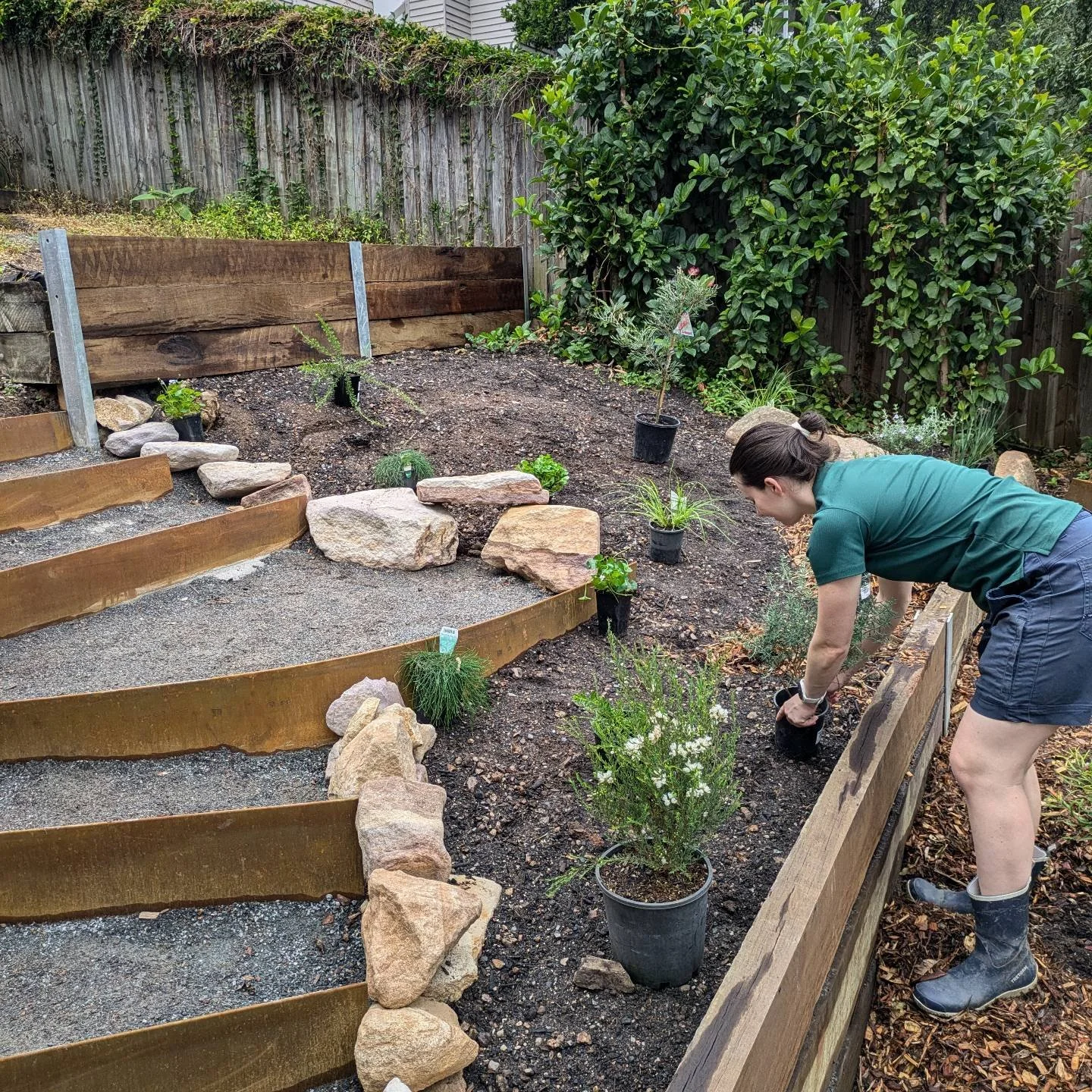 Planting day is always the best day. A selection of native shrubs, grasses and small trees to soften the straight lines of the retaining walls and provide some much needed food and habitat for the local wildlife.

Stay tuned for more photos and detai