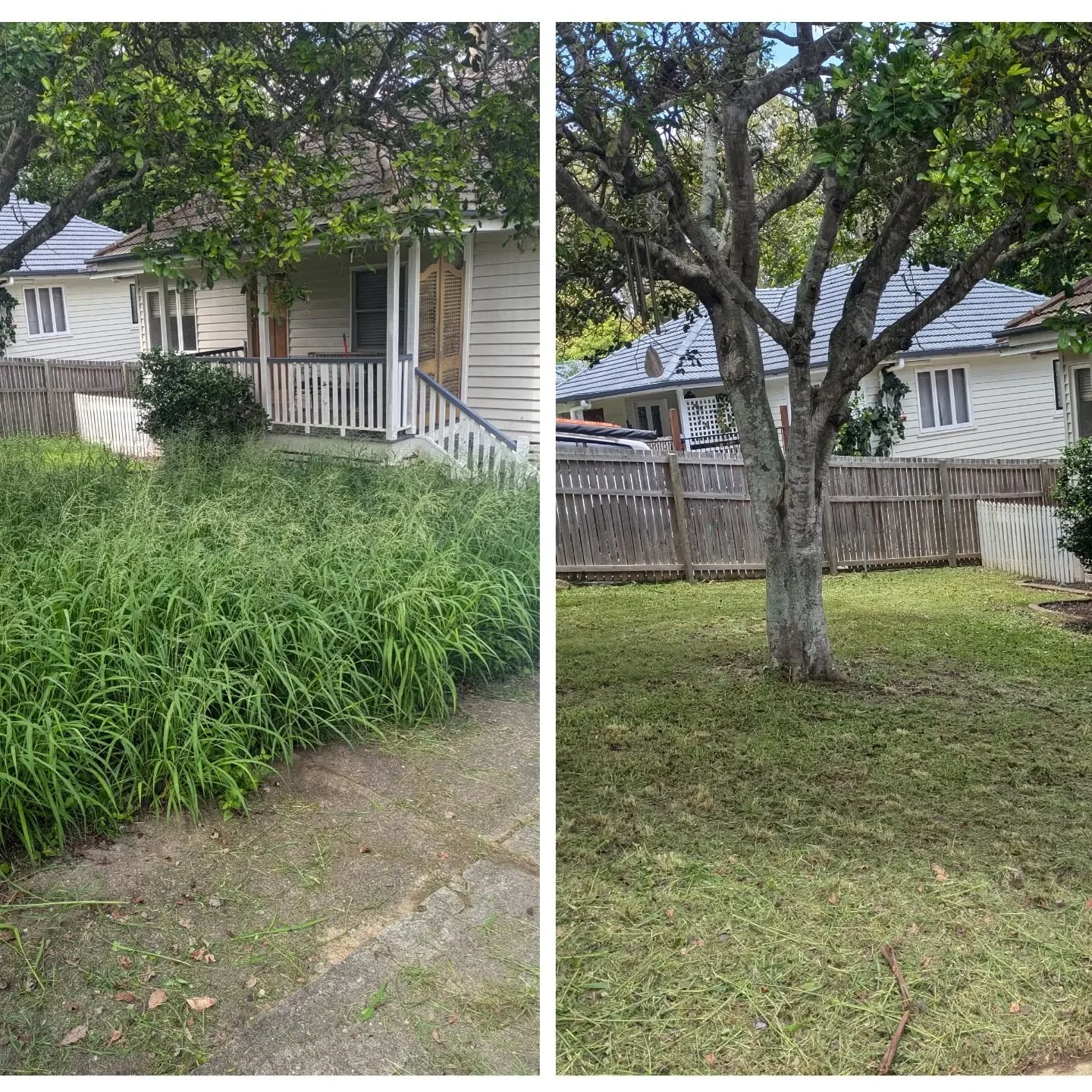 A little bit of rain. A little bit of sun. The grass is in heaven.

We were able to fit this client in at short notice. Limited availability in the lead up to christmas.