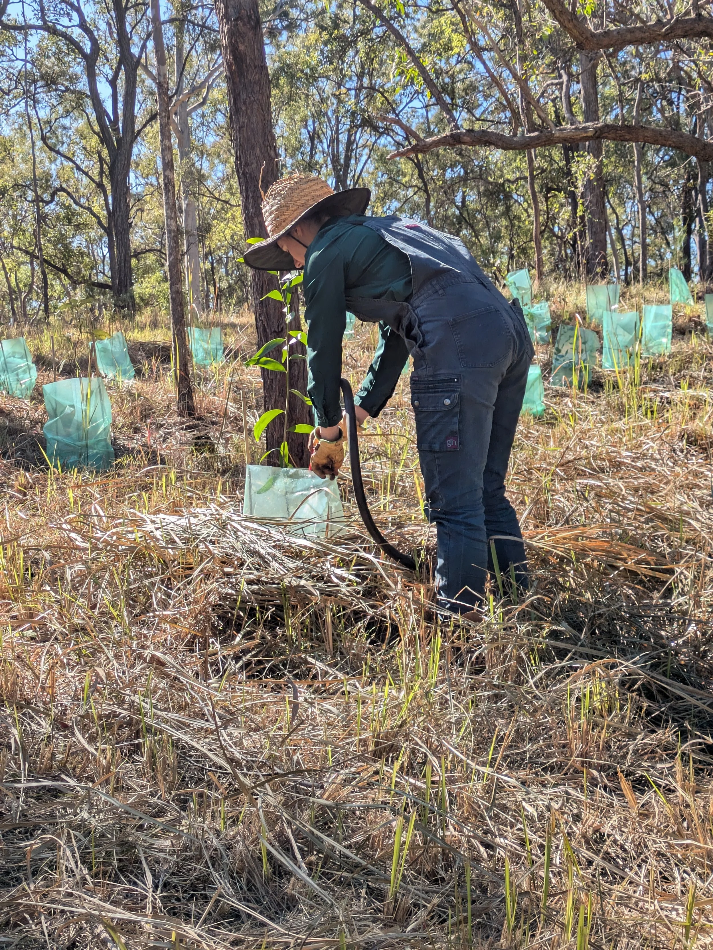 Native Garden &amp; Lawn Maintenance - Mount Cotton, Sheldon and Chandler