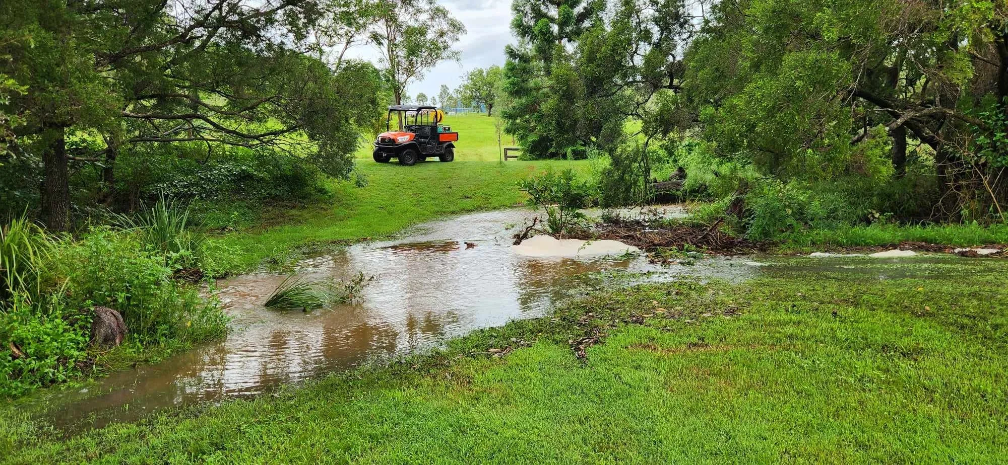Riparian restoration and native tree planting along Scenic Rim creek line — considering weather and seasonal flooding