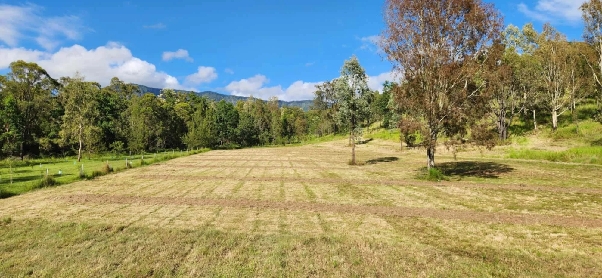 Commercial acreage mowing and grounds maintenance, South East Queensland