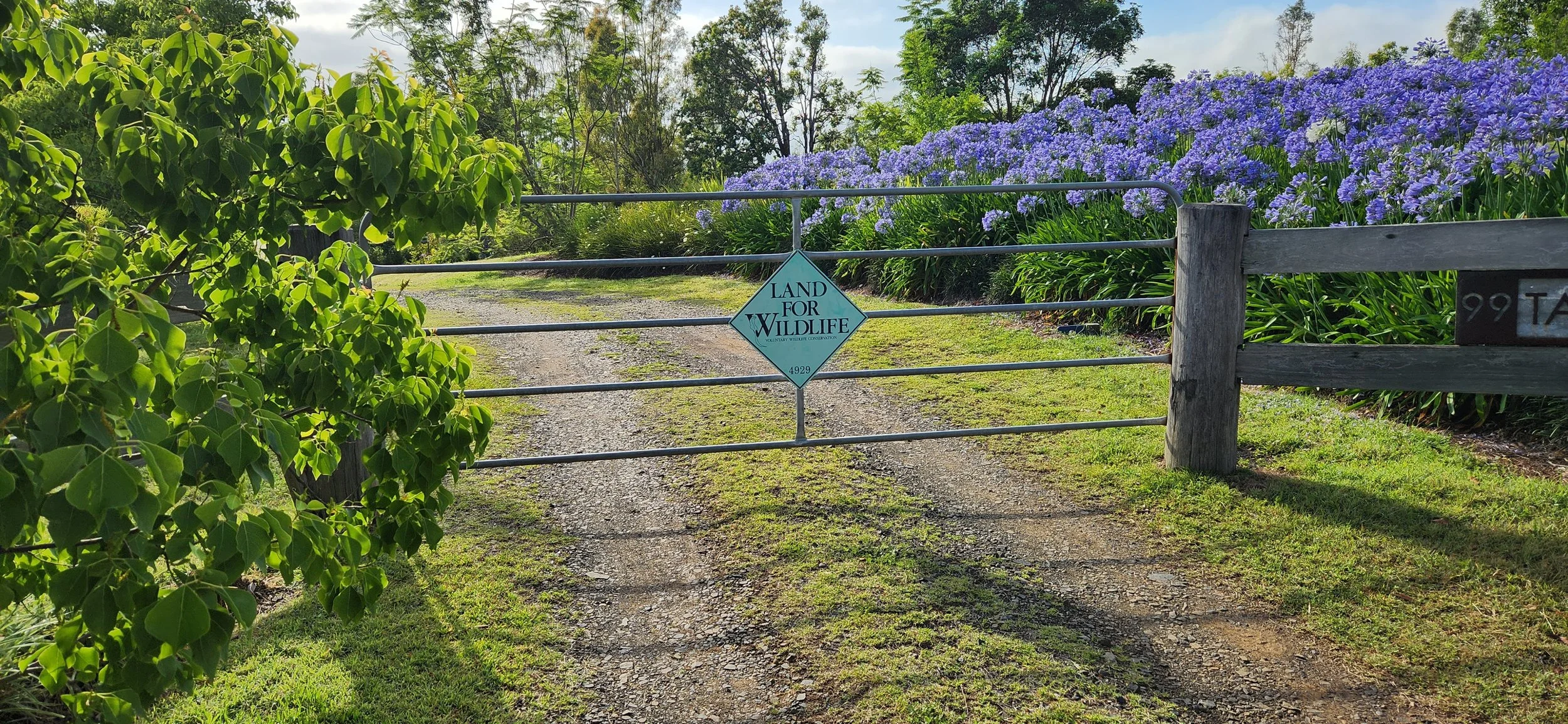 Environmental grants writing for land management and ecological restoration, South East Queensland