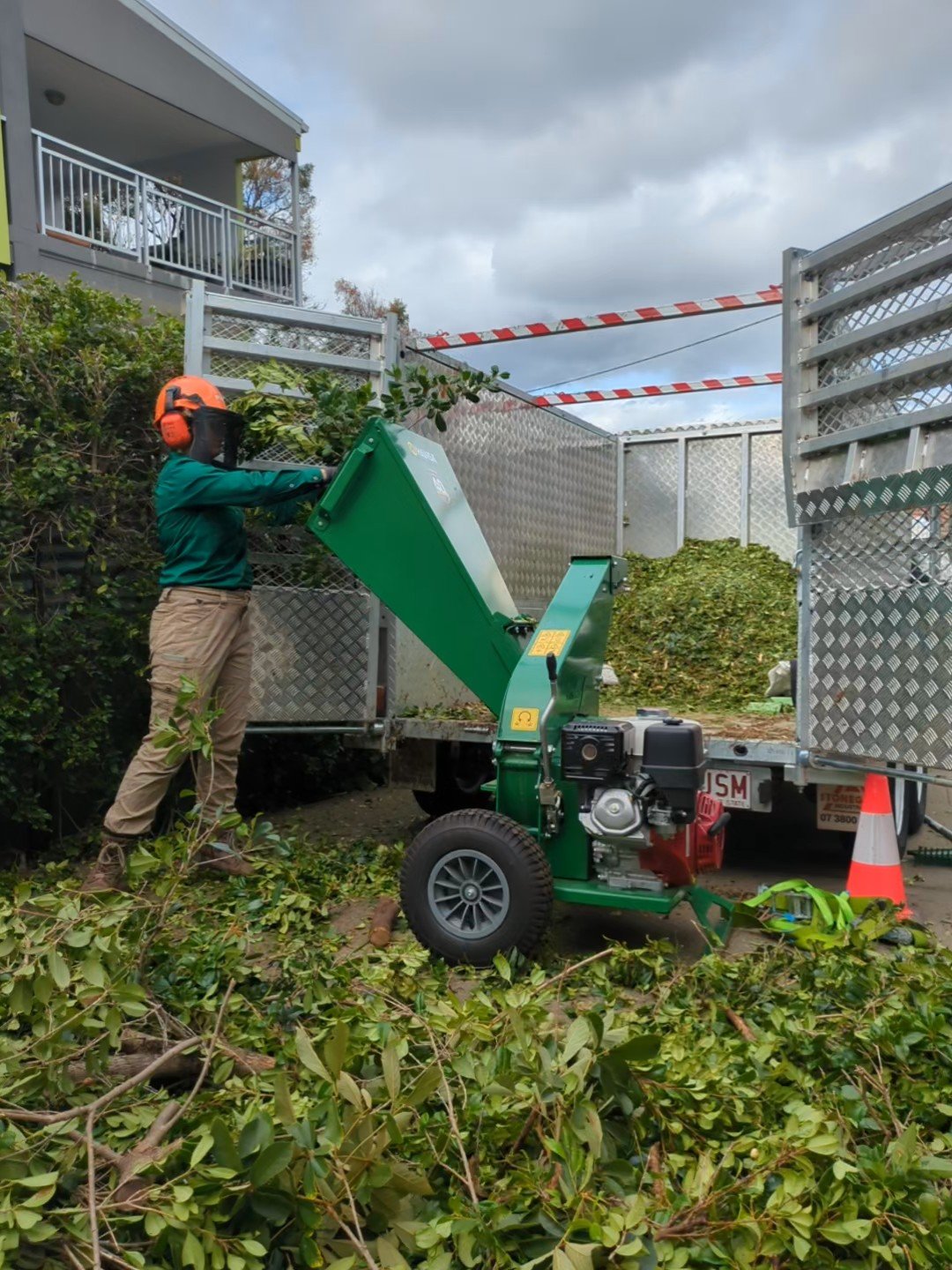 Mulching lilly pilly hedge into green waste clippings to create high-quality garden mulch onsite using a Hansa C13 Wood Chipper
