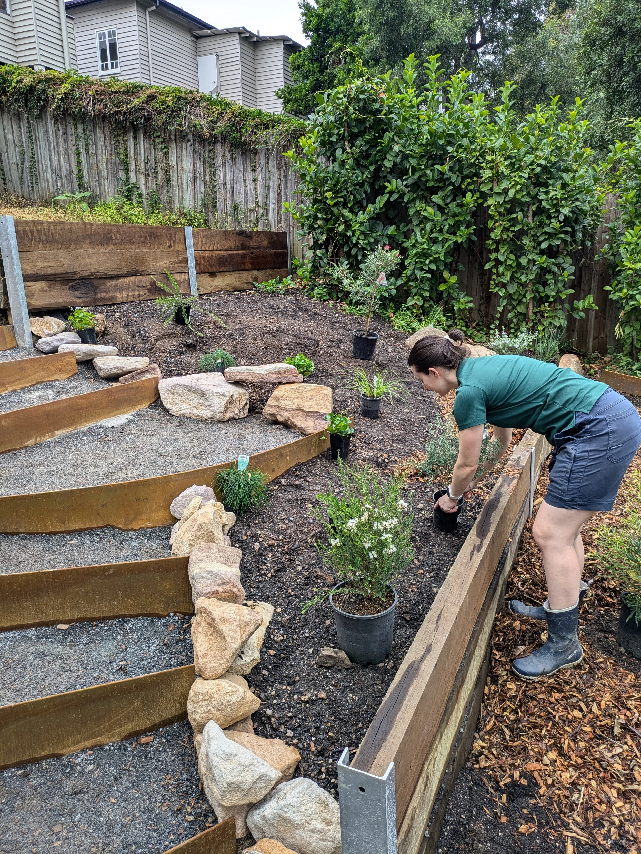 Native shrubs, ground covers and grasses.jpg