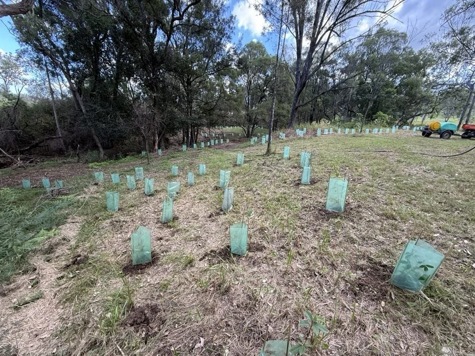 Cambium Land Management projects across South East Queensland