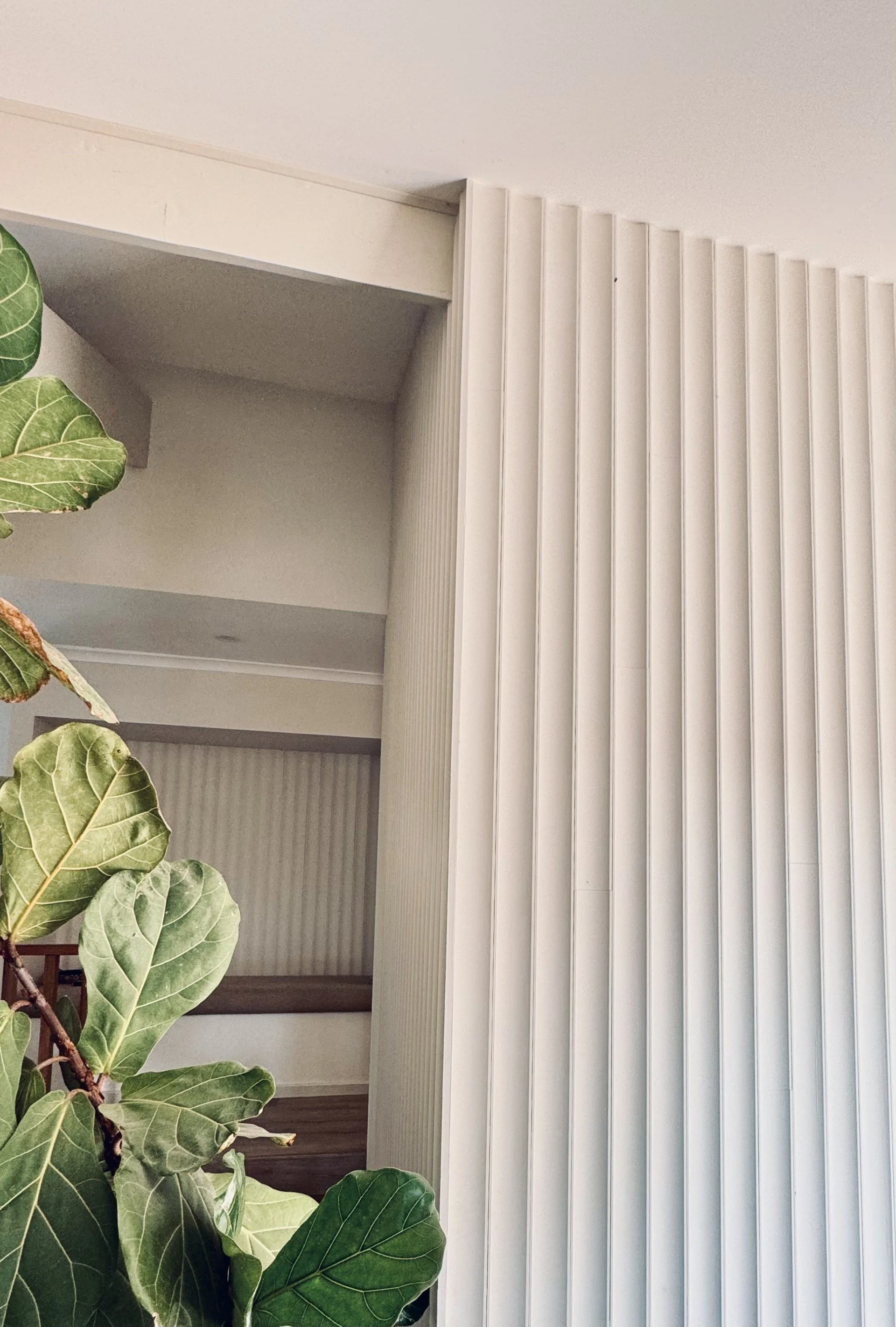 Interior featuring a potted plant with variegated green leaves on the left, a white wall with vertical blinds on the right, and a window with a ledge in the background.