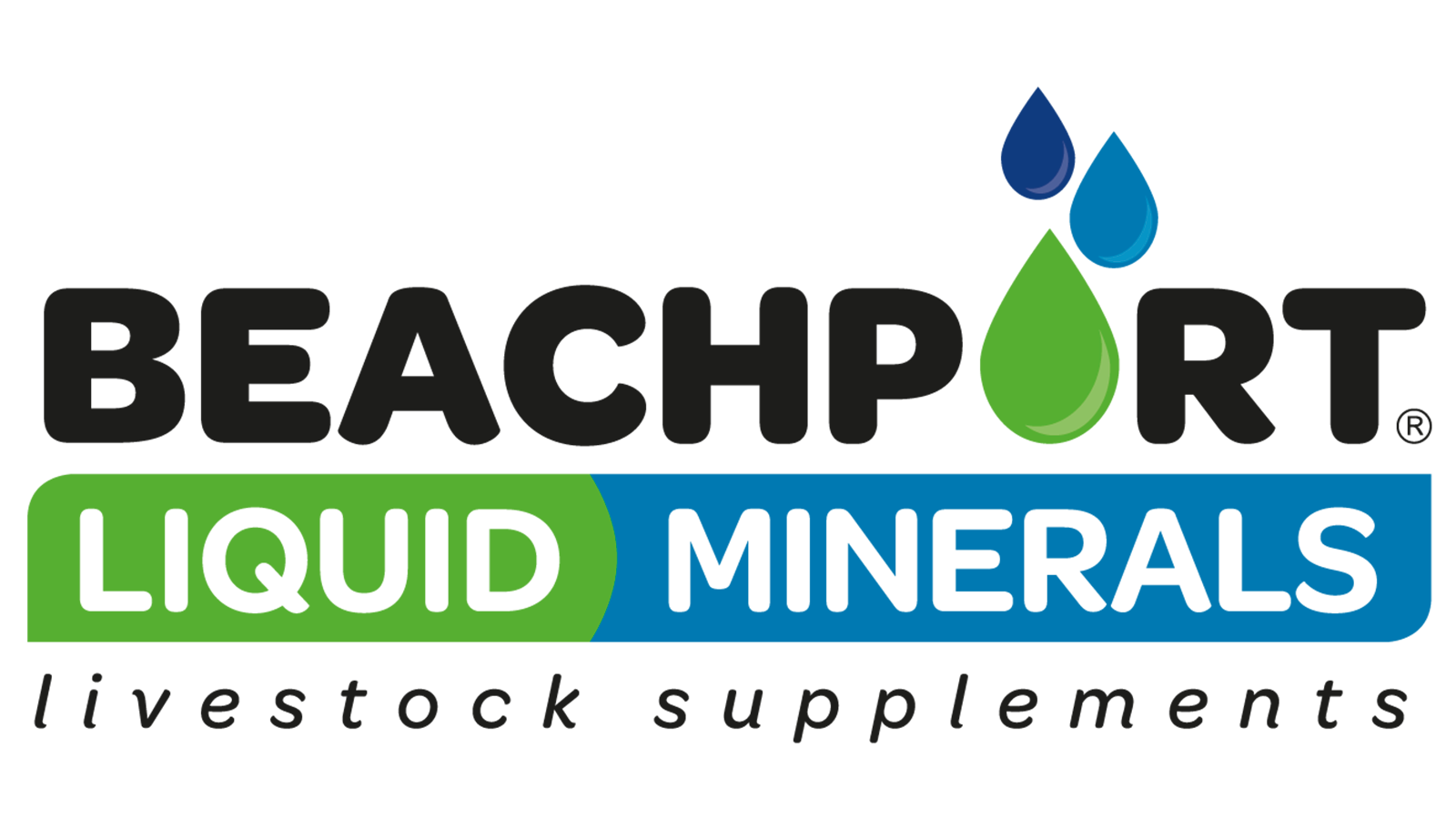 Beachport_Liquid_Minerals_Logo.png