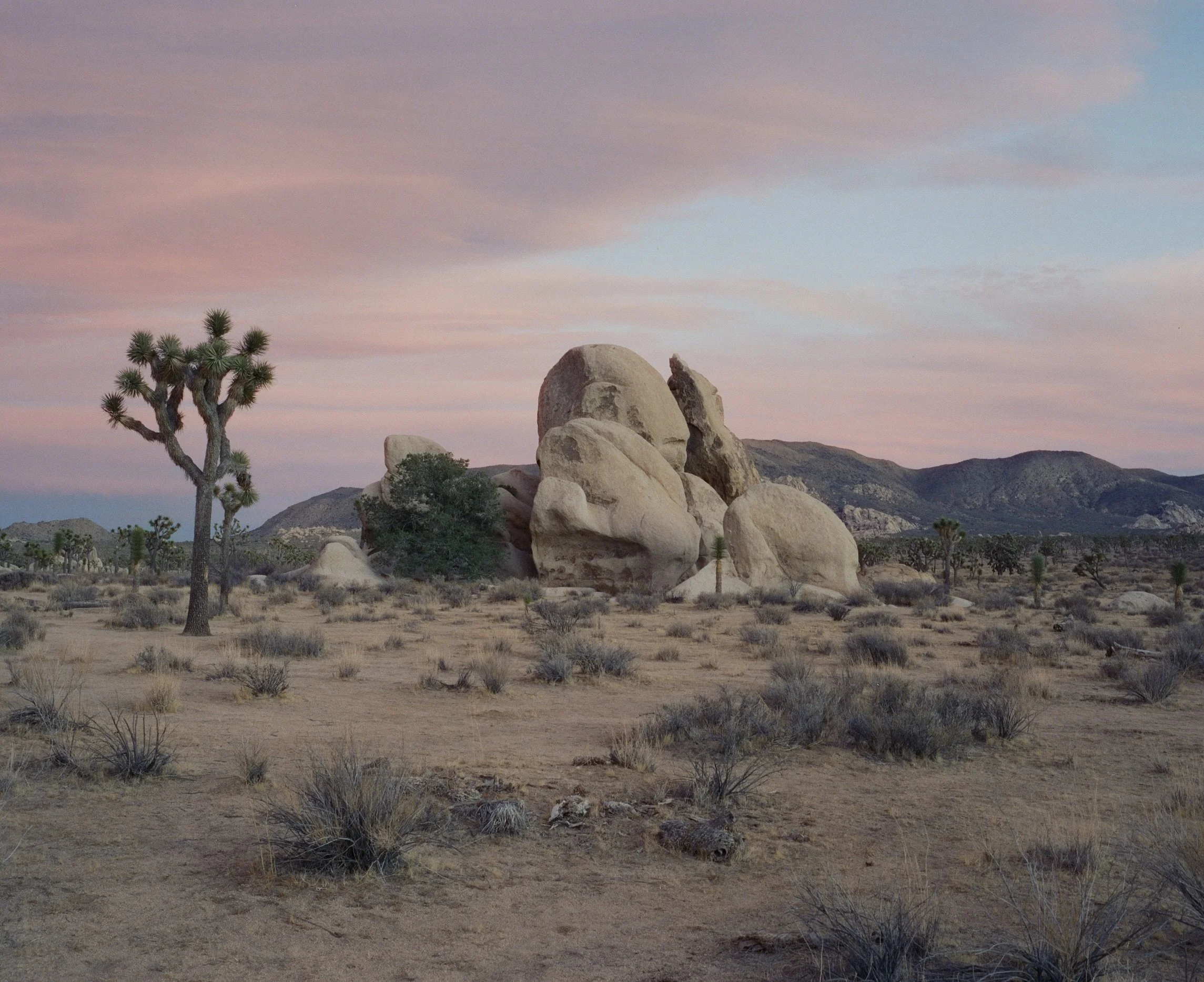 2025-01-12 Christmas Trip-1.jpg