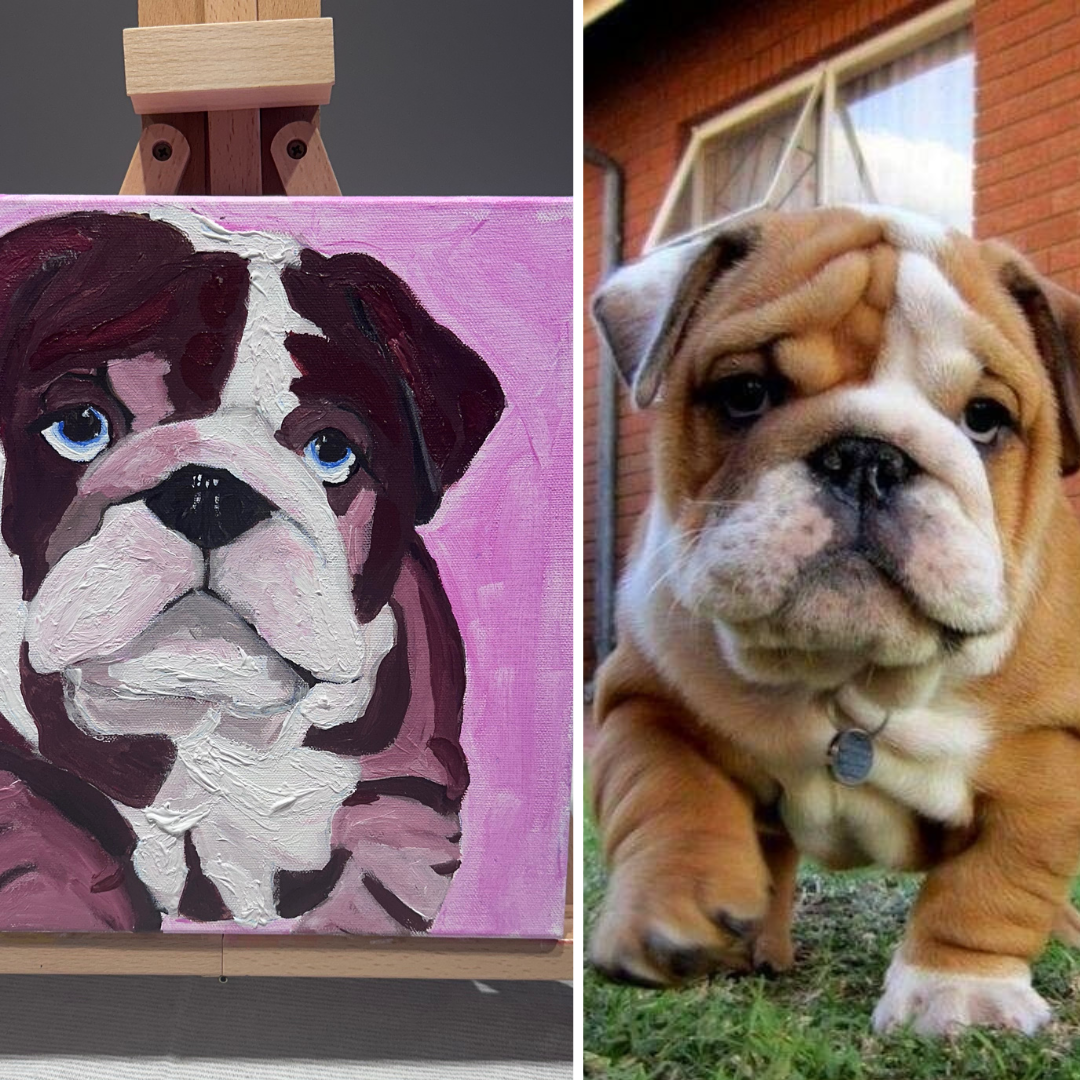 Bulldog Puppy Before and After 2.png