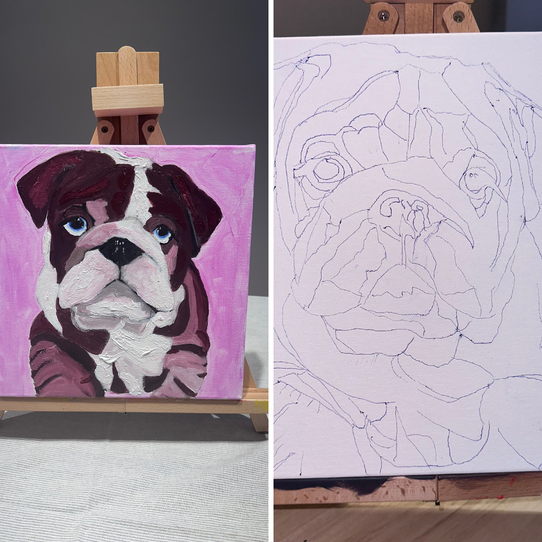 Bulldog Puppy Before and After.png