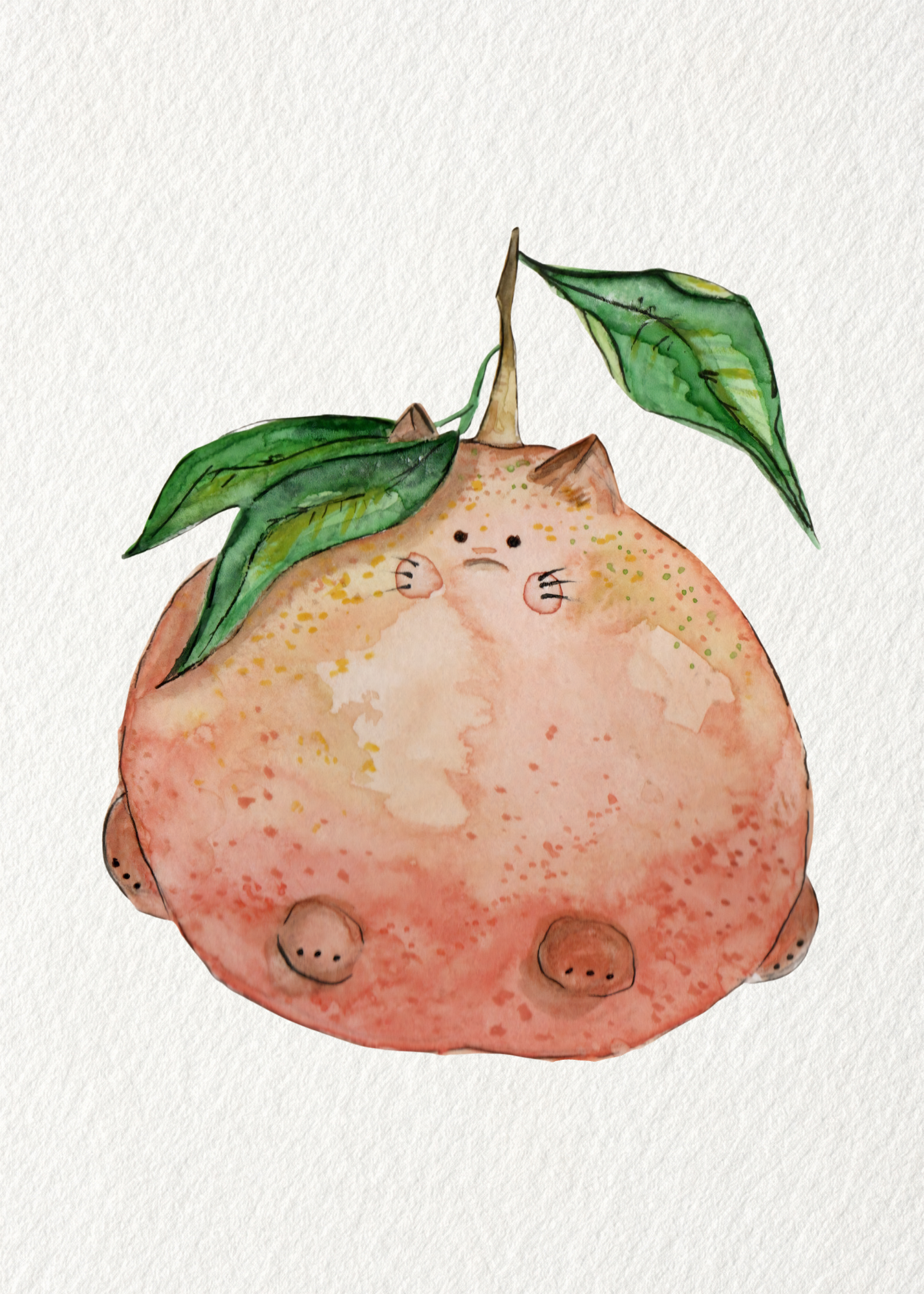 5x7 grapefruit.png