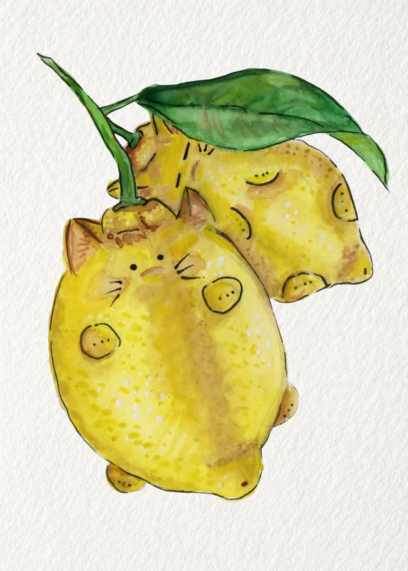 Lemon cats 5x7.png