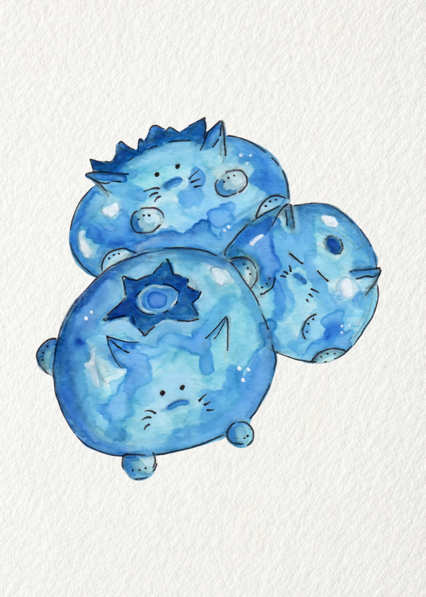 5x7 blueberries.png
