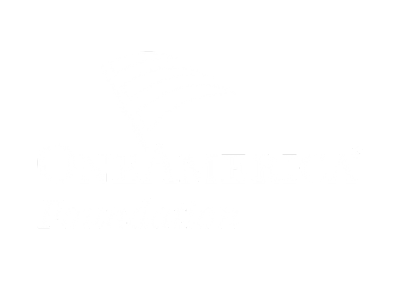 one-america-foundation.png