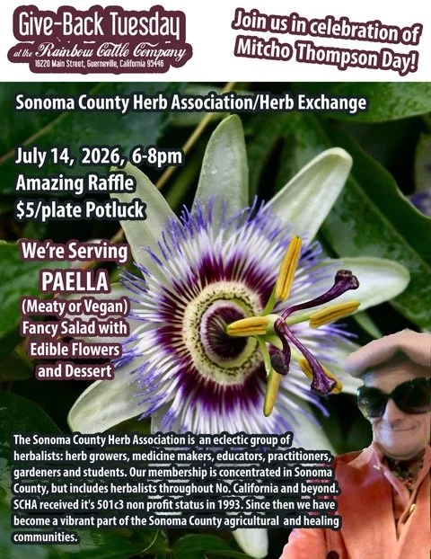 event details, with background image of a purple flower