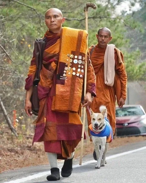 two monks and a dog walking along a road