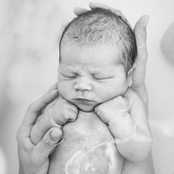 Natural Family Photography Melbourne Newborn baby portrait held in water in black and white