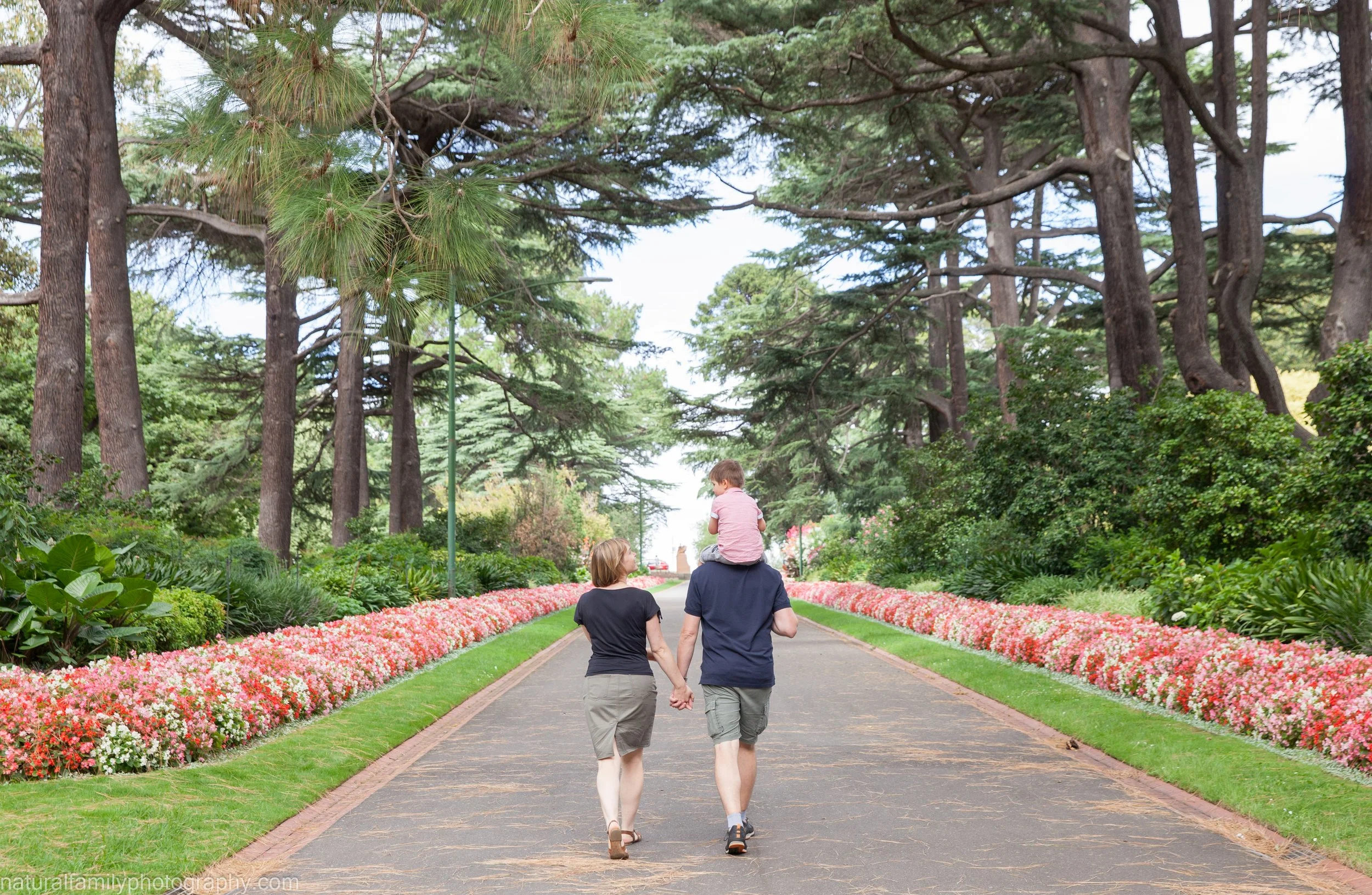 A family of three walking together in a park with tall trees and colorful flower beds on either side of the paved path.