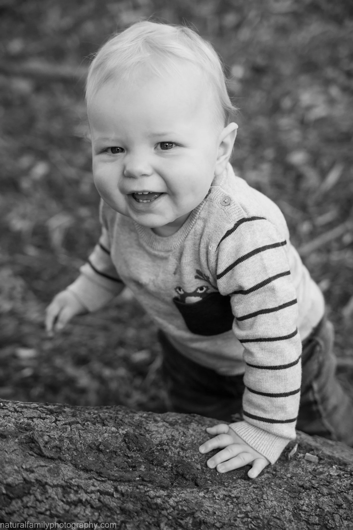 A young child with light hair, smiling and crawling outdoors on a large log. The child is wearing a striped long-sleeve shirt with a cartoon character on the front and is surrounded by natural scenery.
