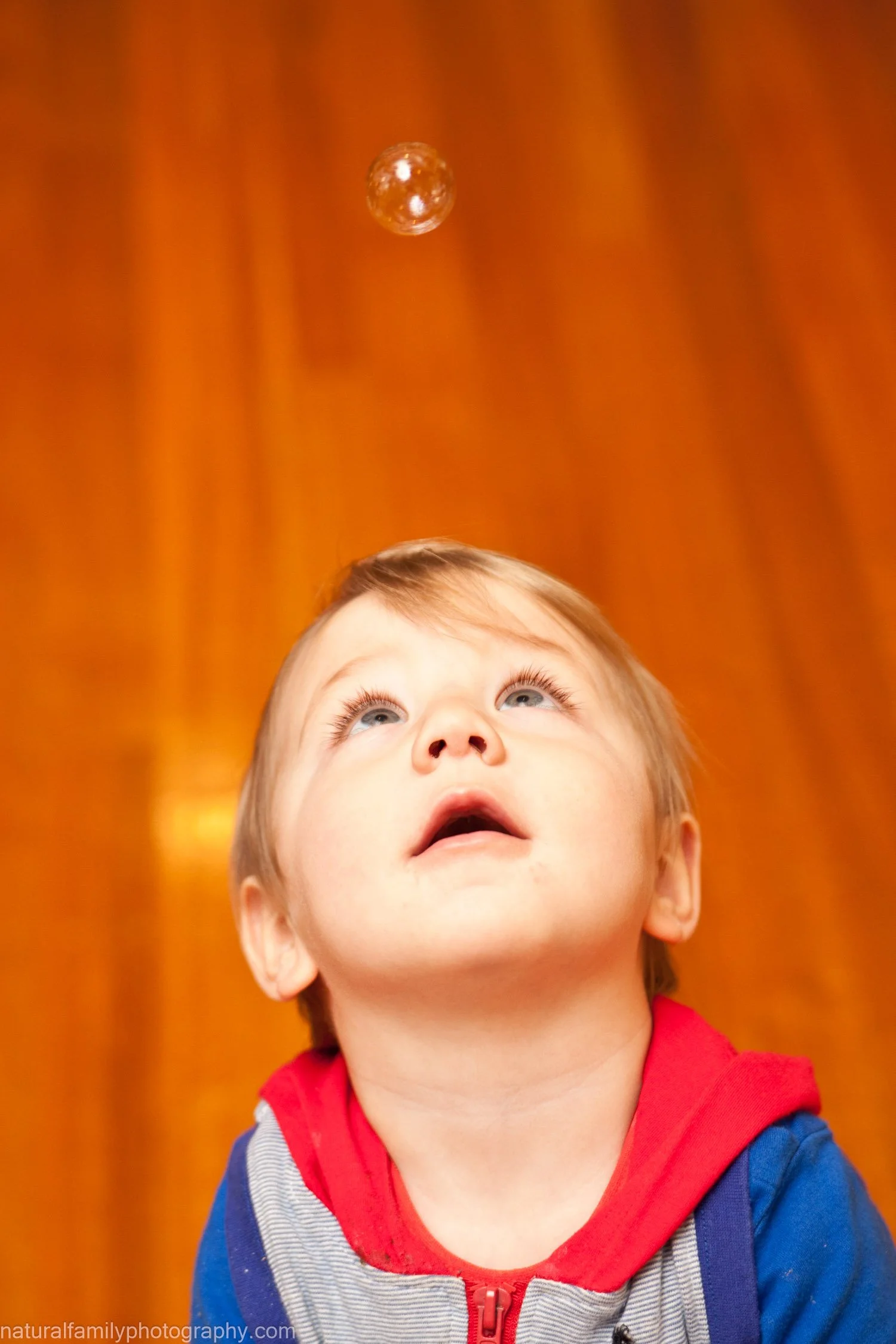 A young boy with blue eyes and light brown hair looking up at a small, reflective bubble floating in the air against a warm, wooden background.