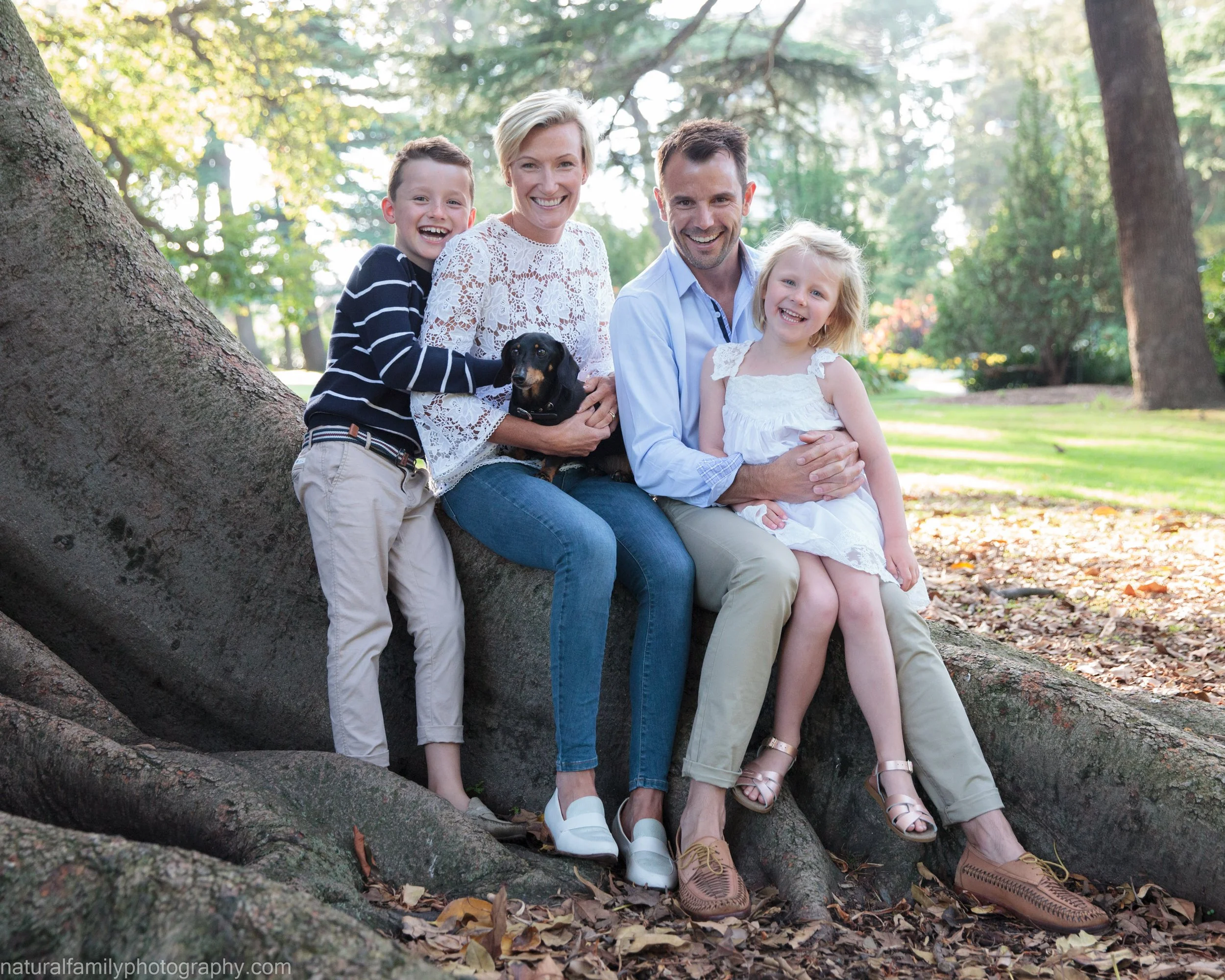 A family of four sitting on a large tree in a park, with a dog, smiling and posing for a photo.