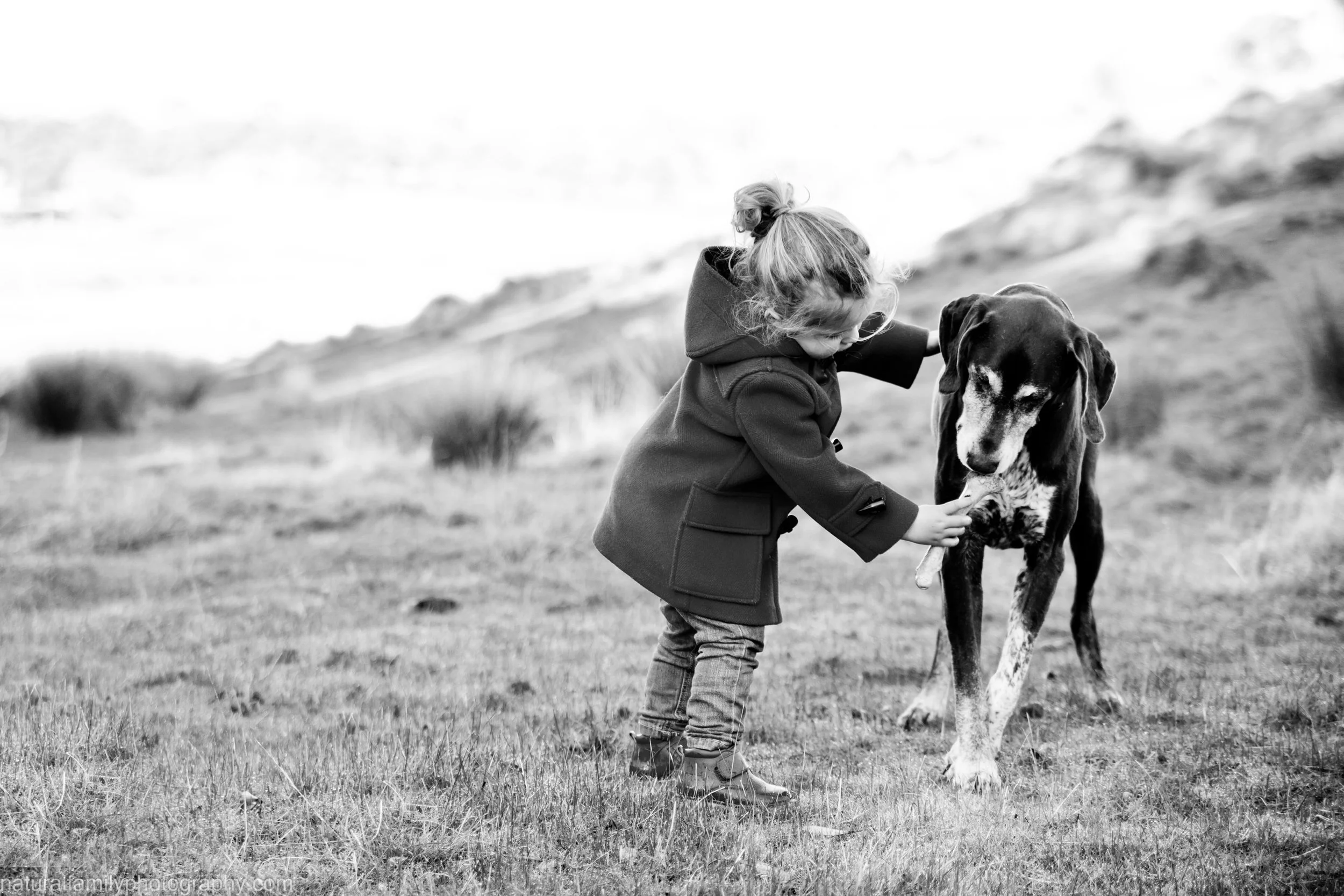 A young girl is petting a dog in an outdoor grassy field with hills in the background.