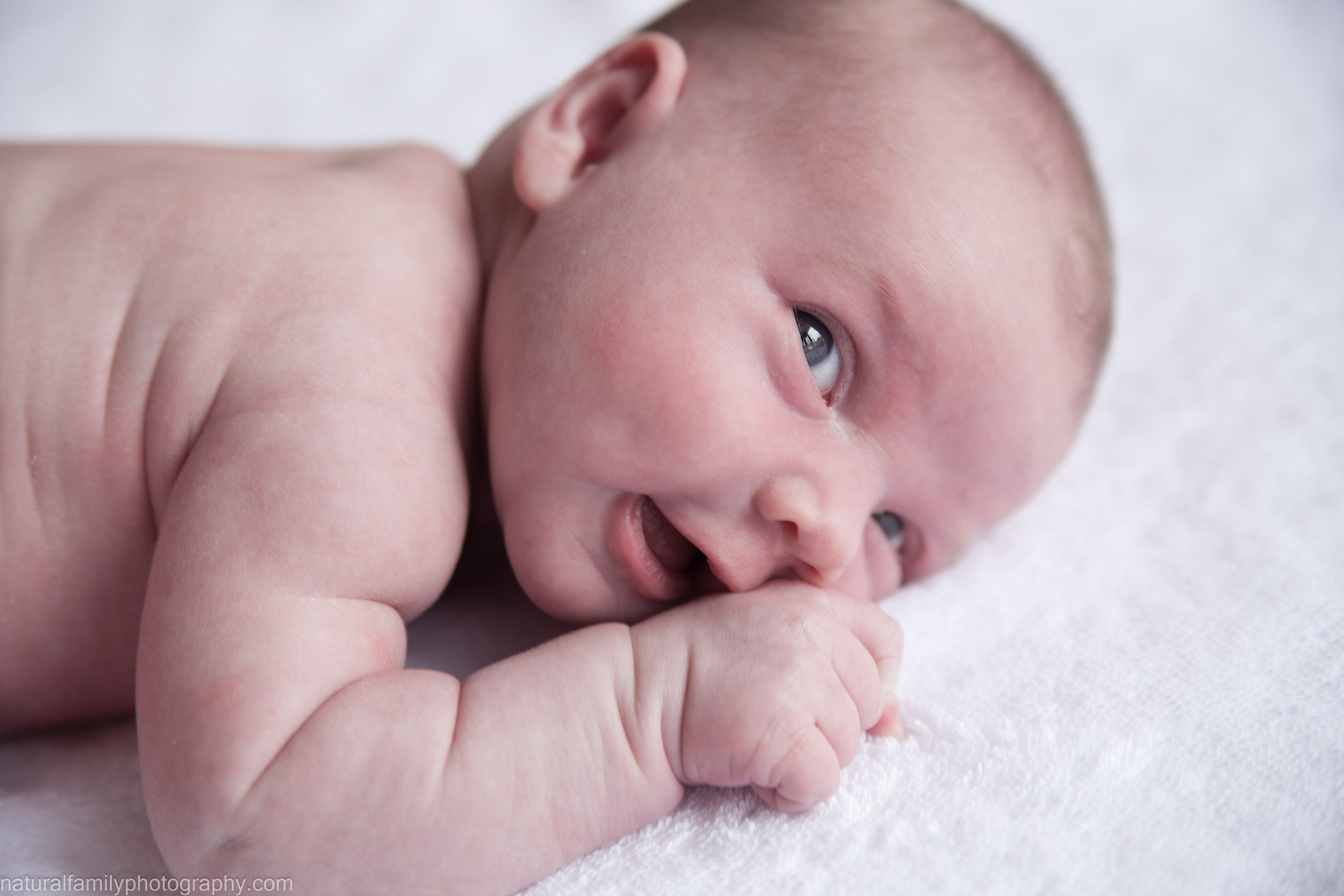 Close-up of a newborn baby lying on a soft white surface, with blue eyes and light skin, sucking on their hand.