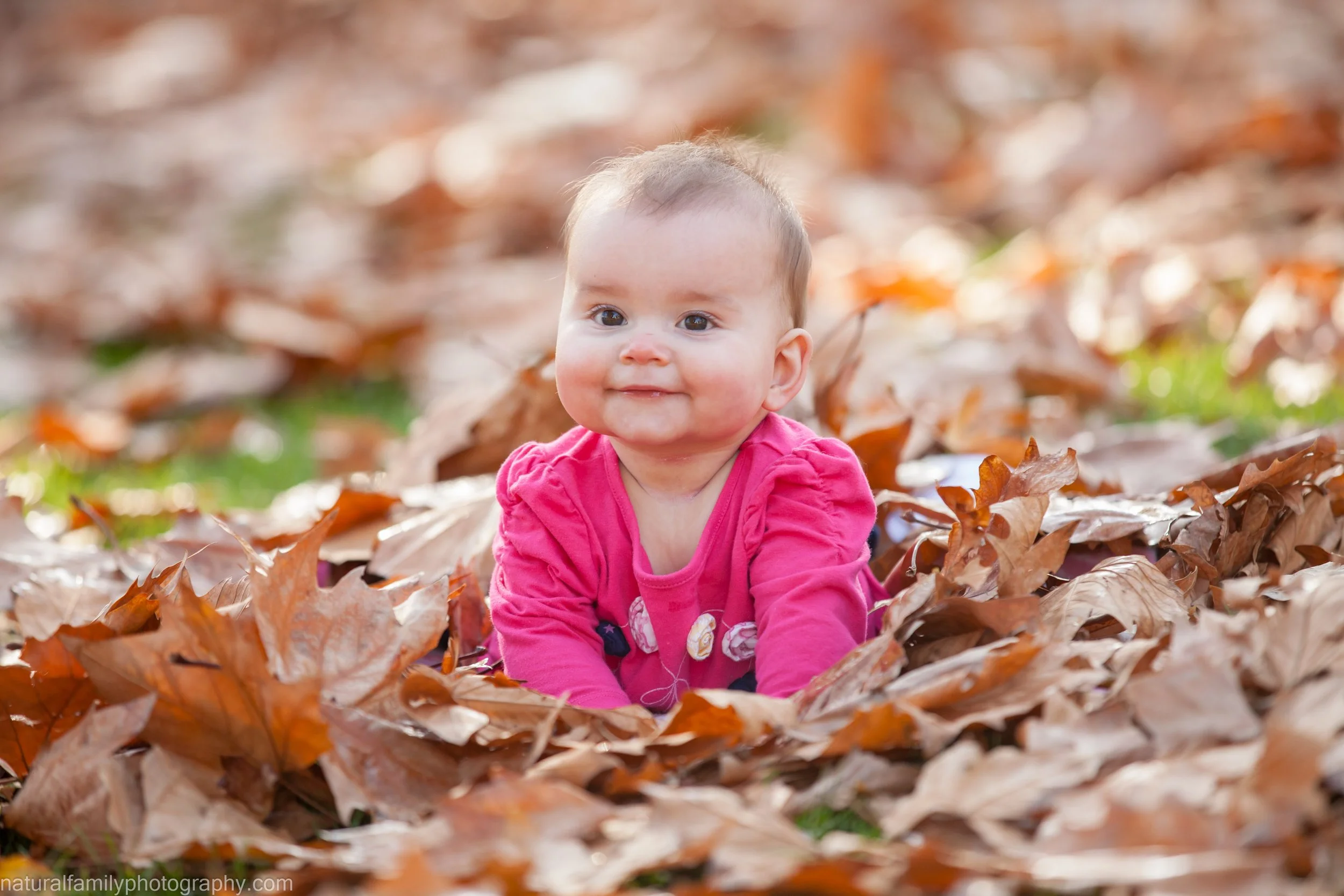 A smiling baby girl in a pink shirt lying on her stomach amidst fallen autumn leaves in a park.