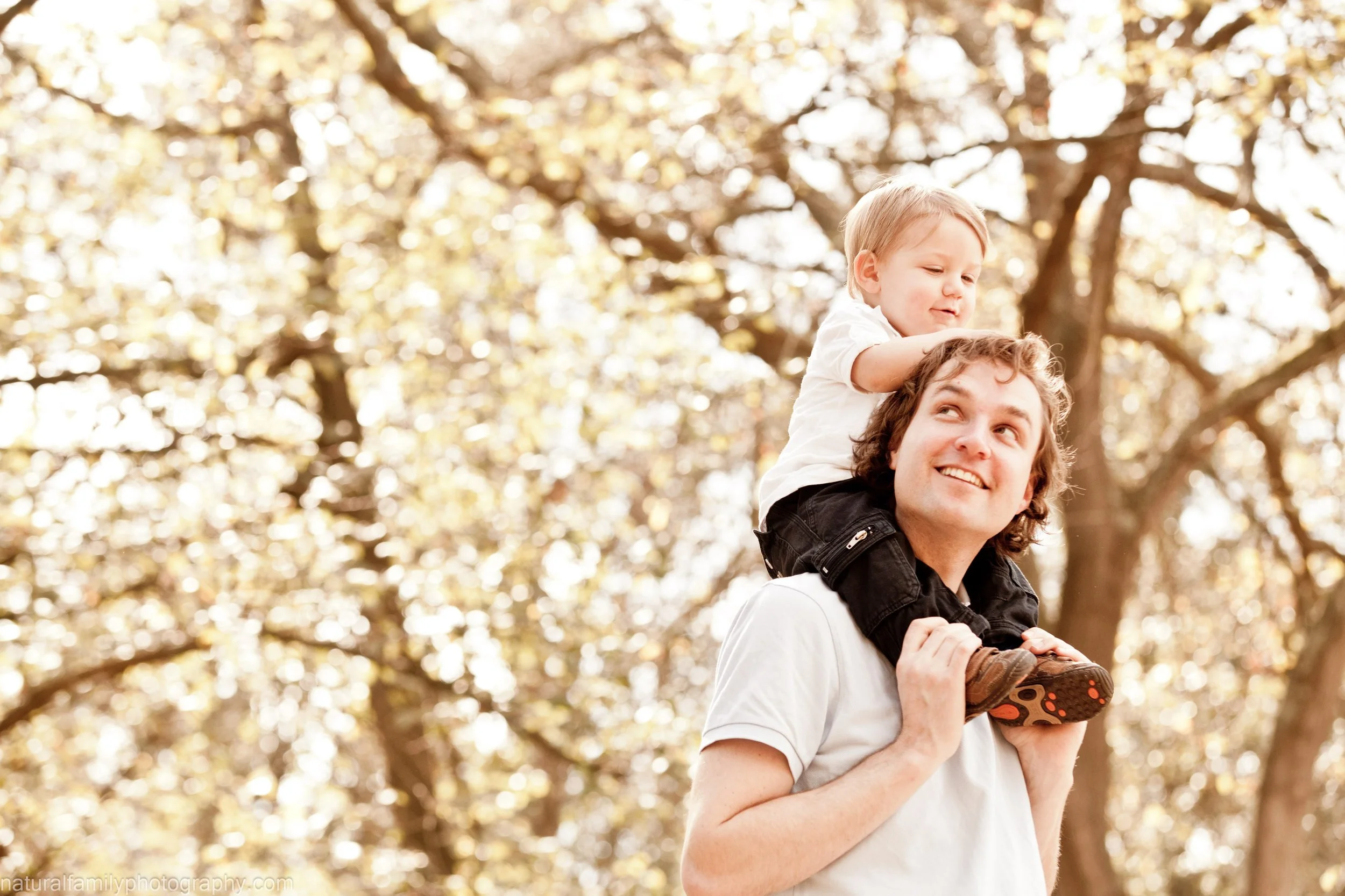 A man with curly hair carrying a young child on his shoulders in a park with blooming trees, sunlight filtering through the branches.