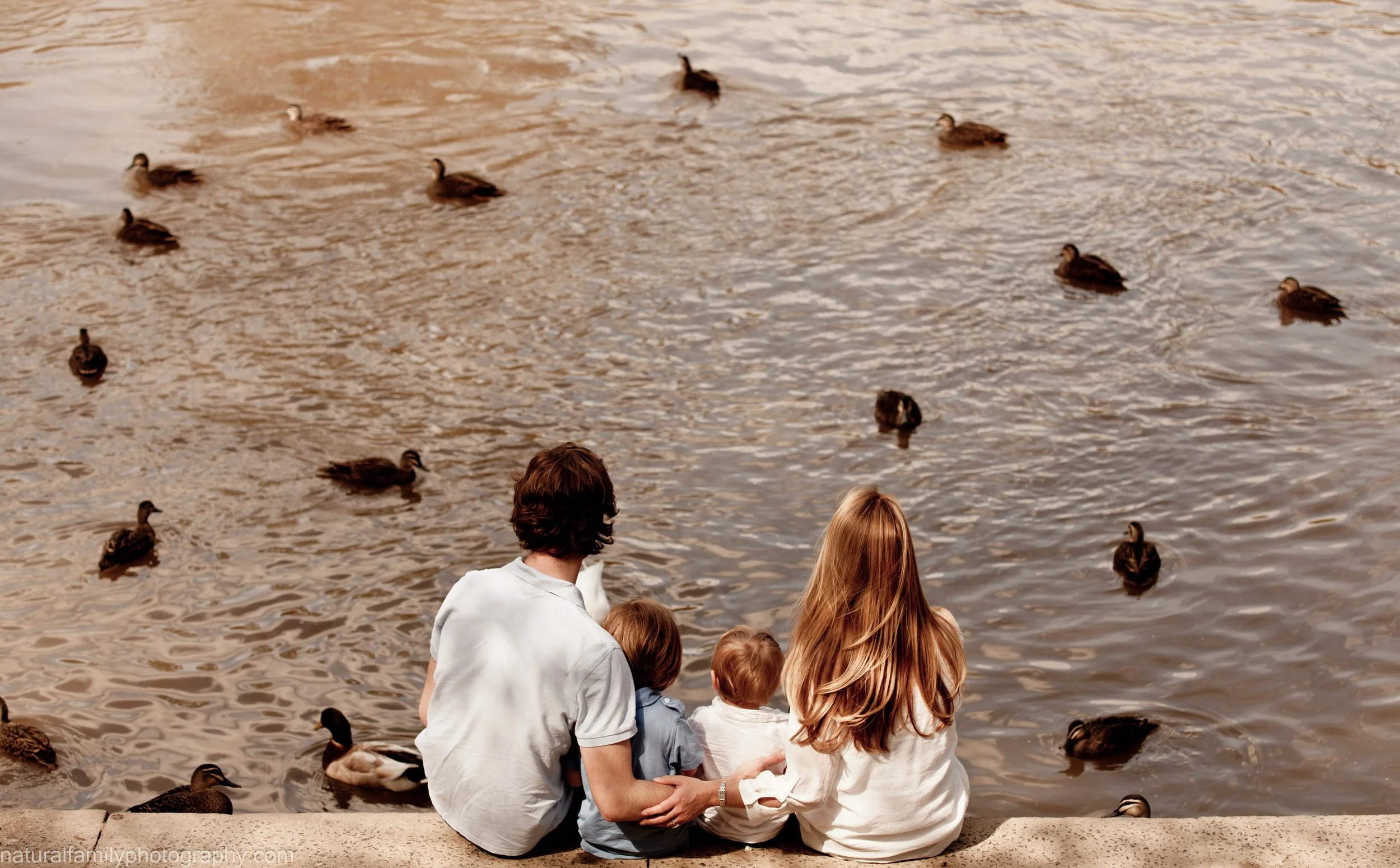 A family of four sitting on the edge of a body of water feeding and watching ducks.
