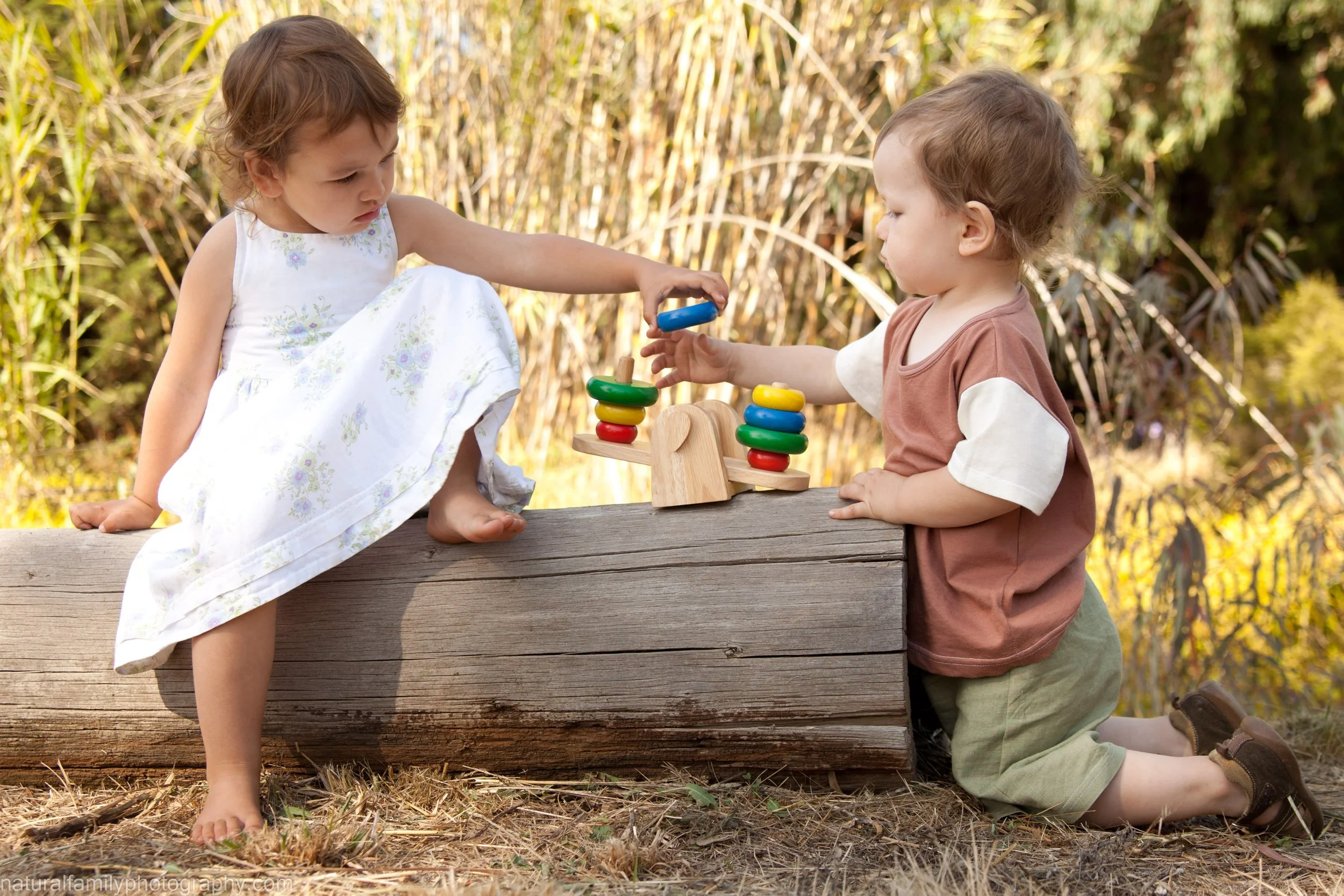 Two young children playing a stacking ring game outdoors on a wooden log, surrounded by tall grass and trees.