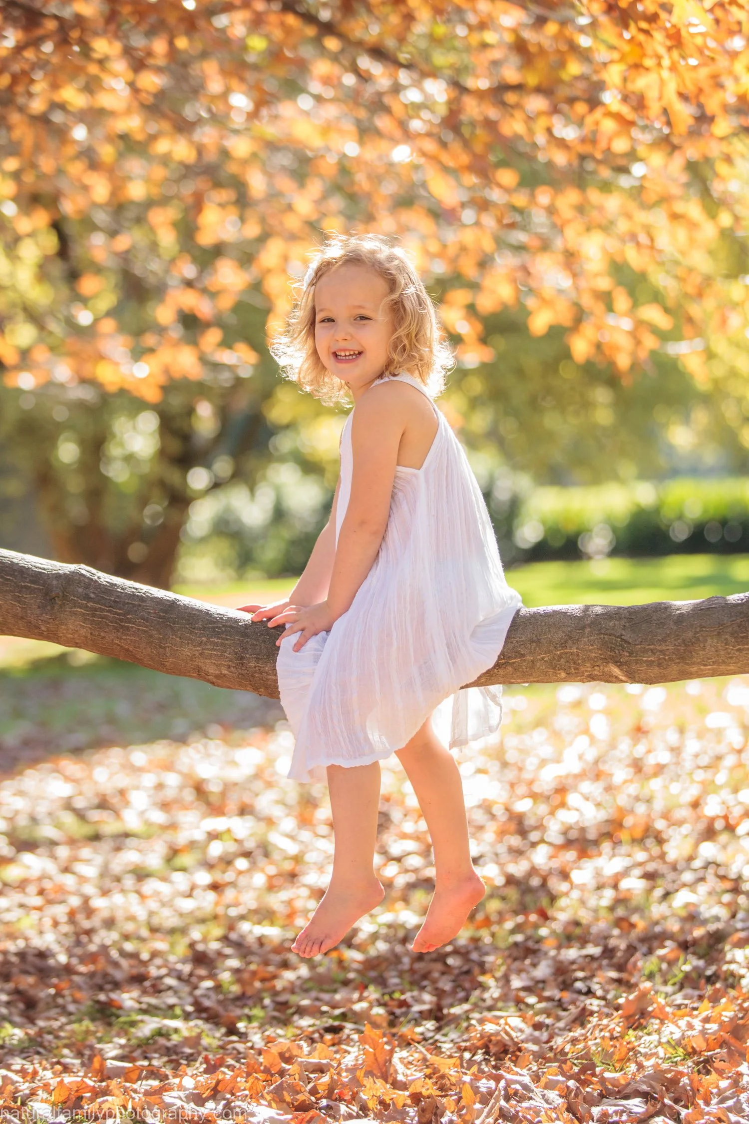 A young girl wearing a white dress sitting on a tree branch in a park with autumn leaves.