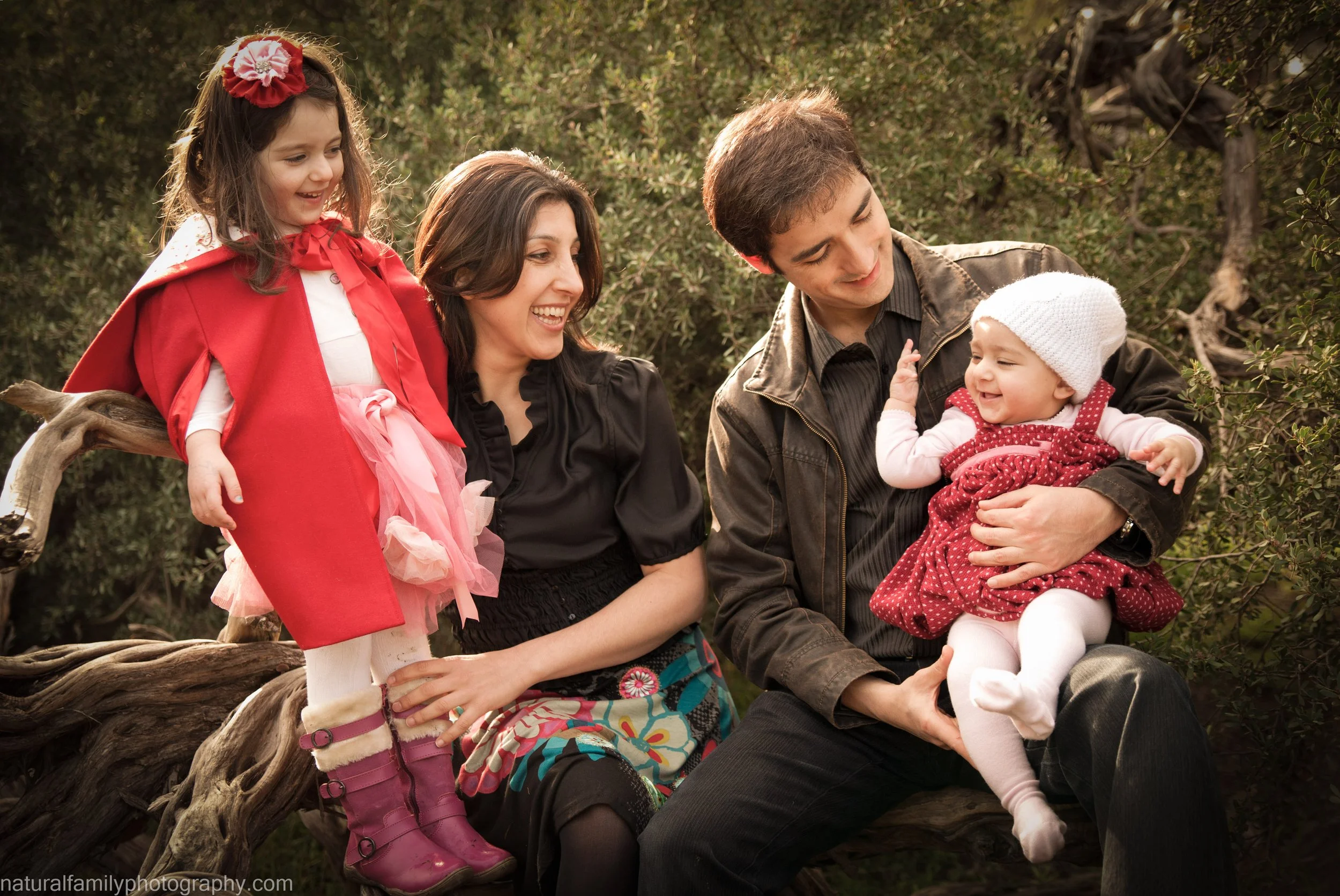 A family of four, including a woman, a man, and two young girls, sitting on a tree branch outdoors, smiling and enjoying their time together.