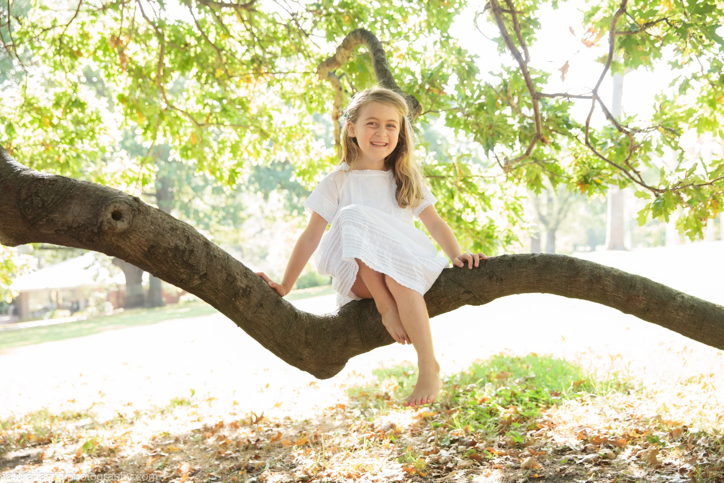 A young girl in a white dress sitting on a large tree branch outdoors, surrounded by green leaves and sunlight.