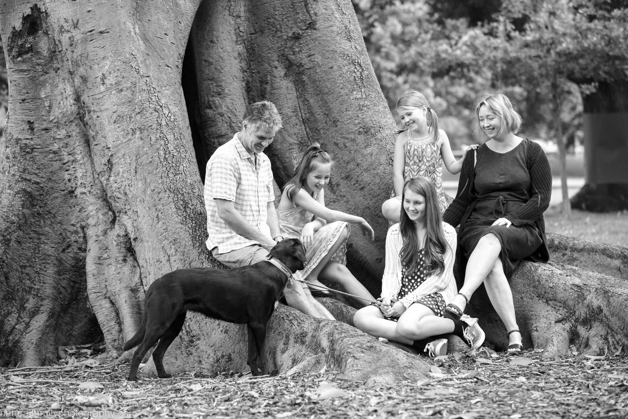 A group of five women and girls sitting and standing around a large tree with a black dog nearby in a park.