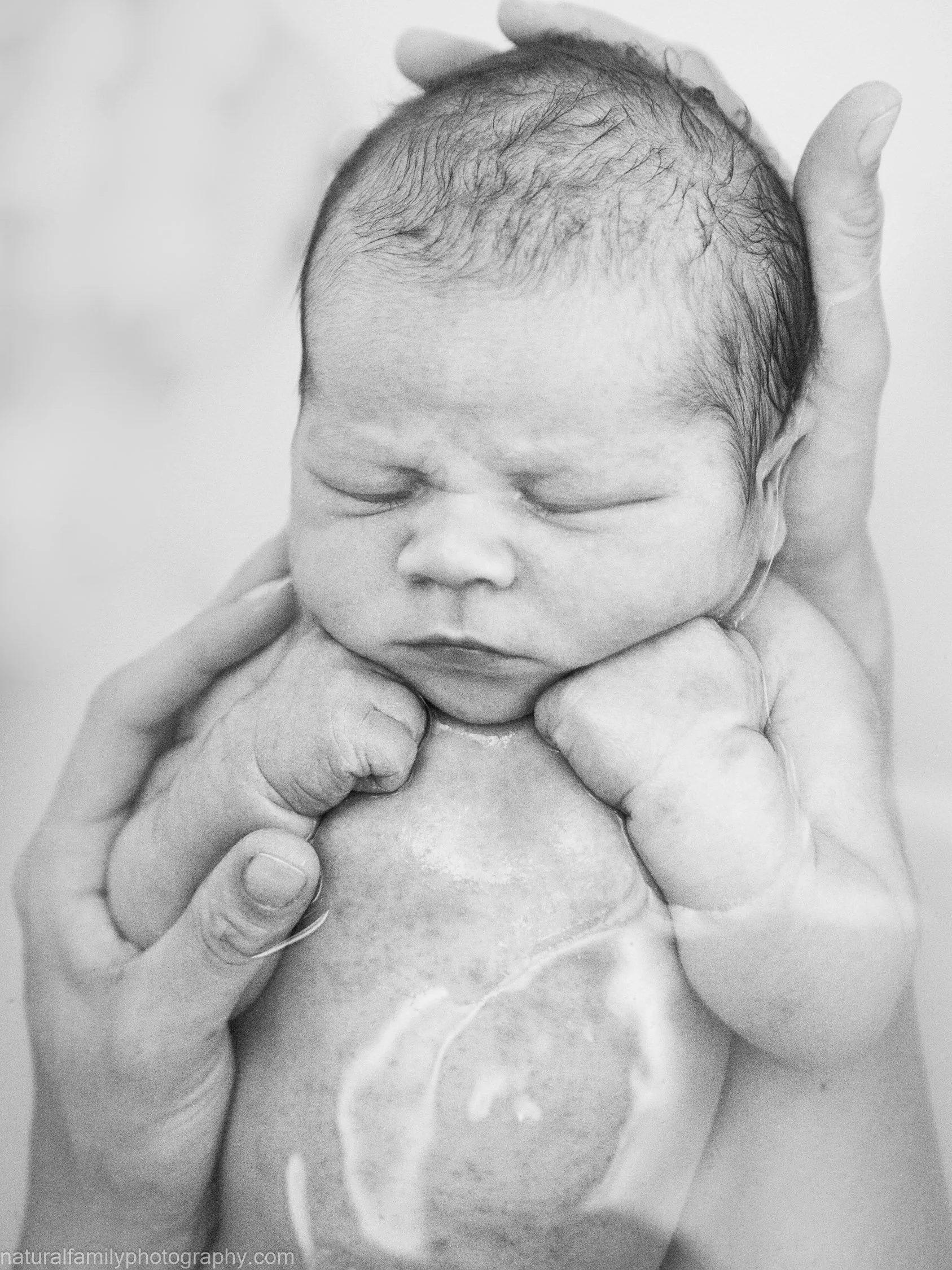 Black and white photo of a newborn baby being gently held by an adult, with the baby's eyes closed and fists near their face.