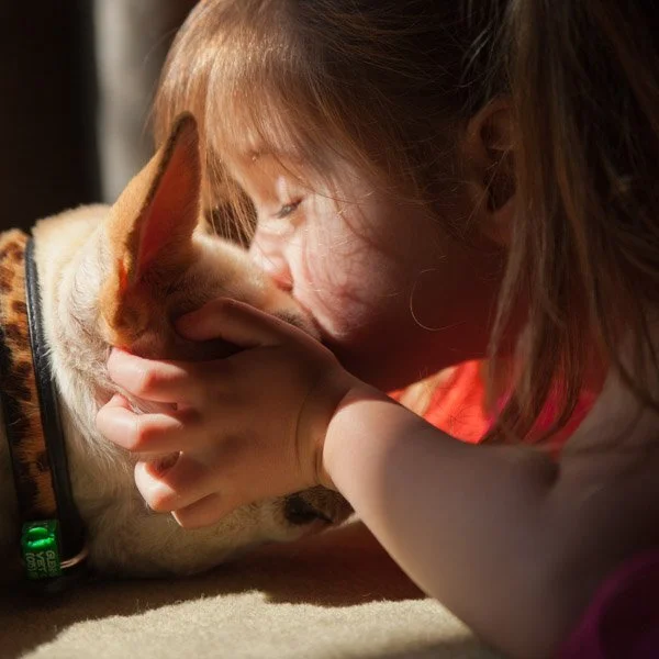 A young girl with long hair kisses her dog on the nose while lying on the floor. In-home portraiture by Natural Family Photography, Melbourne.