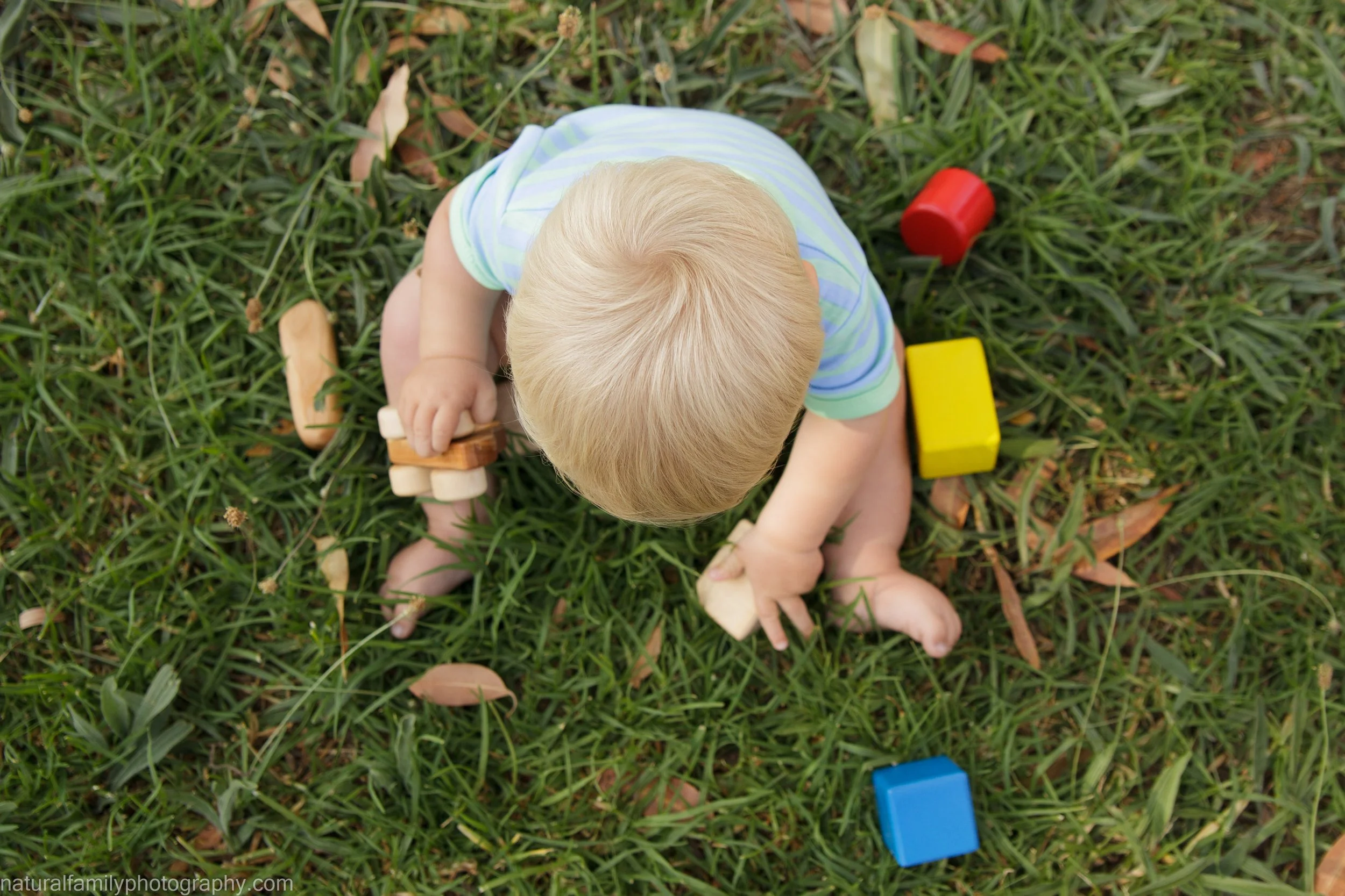 A young child with blonde hair sitting on grass, playing with colorful toys including blocks and a wooden toy, surrounded by fallen leaves. Artistic toddler portrait by Natural Family Photography, Melbourne.