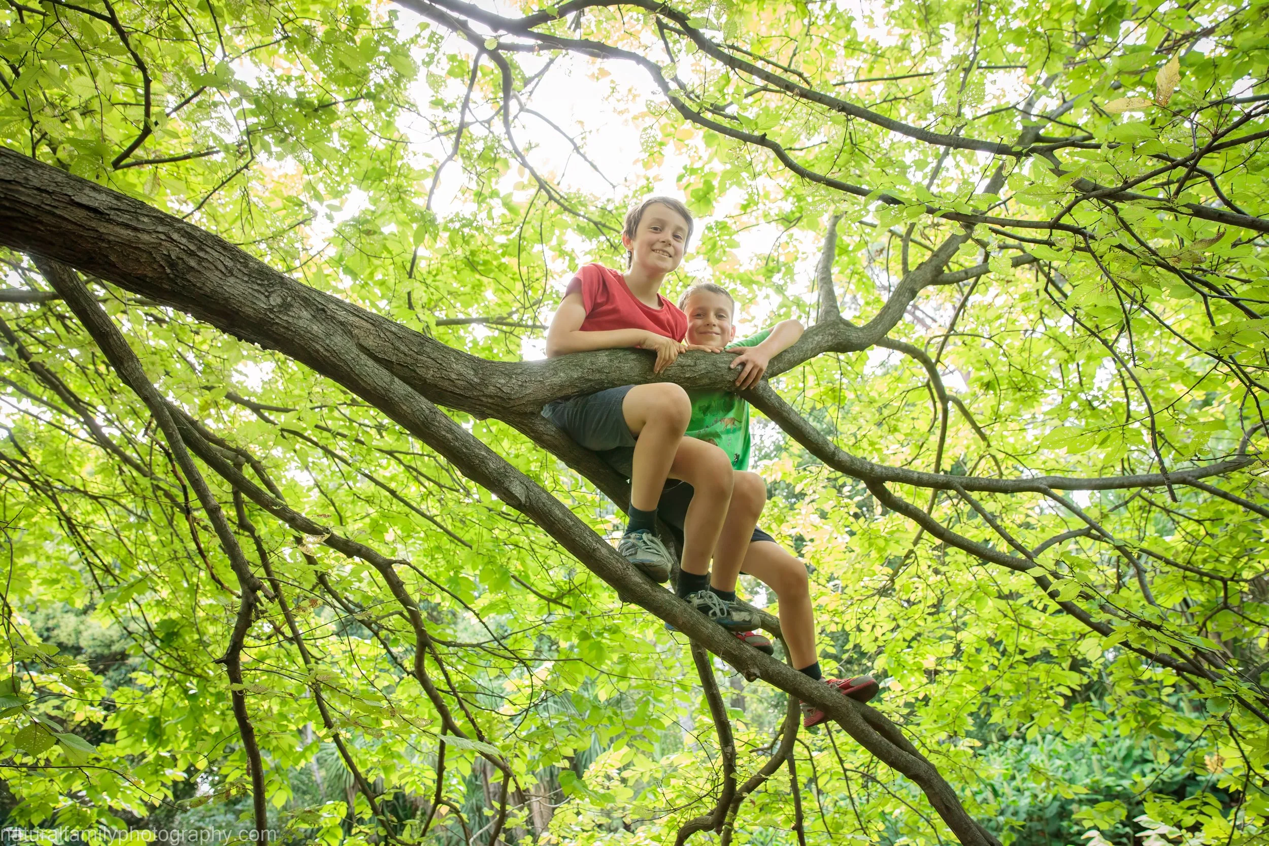 Two children sitting on a tree branch in a green leafy forest, smiling and enjoying their time.