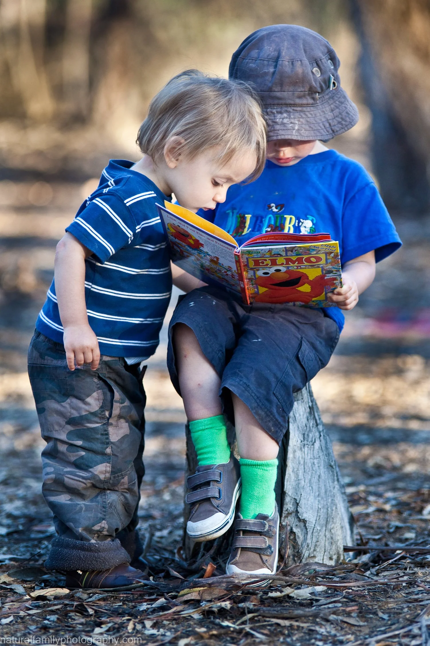 Two young boys outdoors, one seated on a tree stump and the other standing beside him, both reading a colorful 'Elmo' children's book. Candid portraits in the Australian bush by Natural Family Photography, Melbourne.
