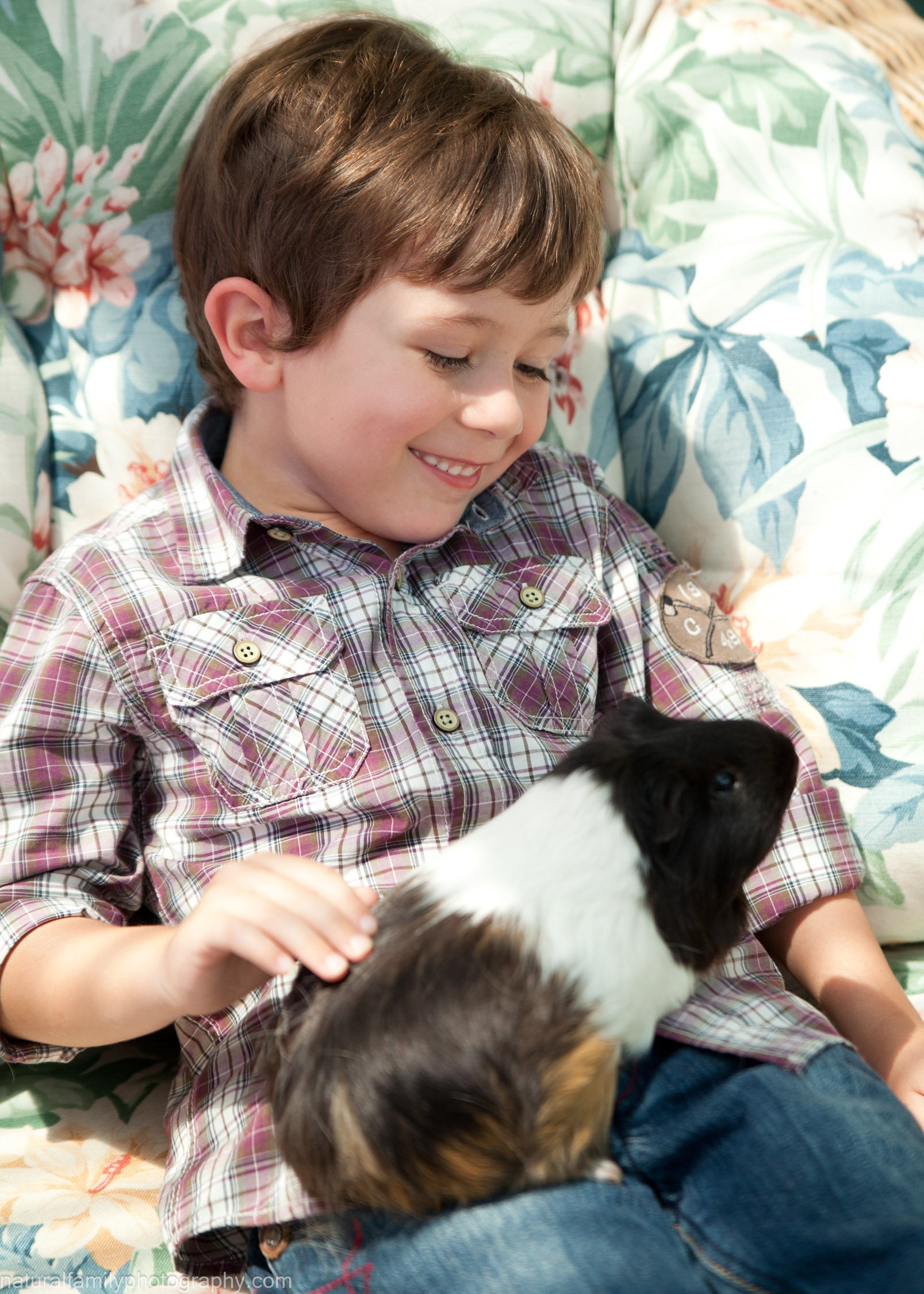 A young boy with brown hair and a plaid shirt sitting on a floral-patterned couch, smiling and petting a guinea pig.