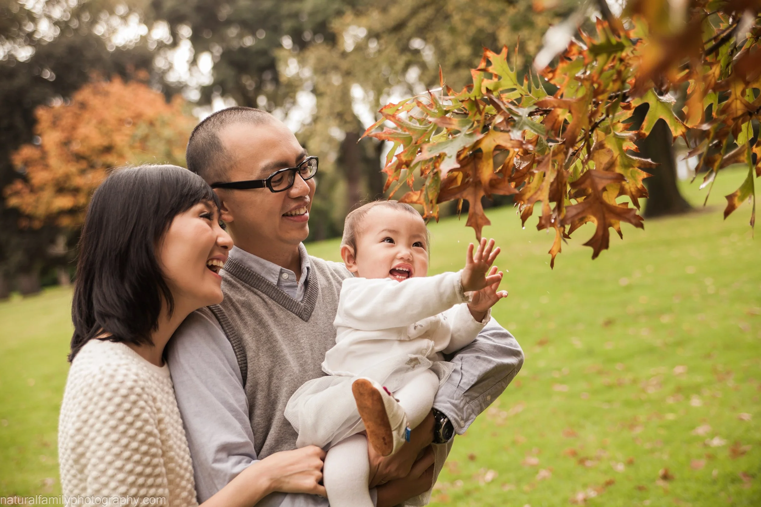 A happy family of three, parents and their toddler, enjoying nature outdoors during fall. They are smiling and laughing while reaching towards autumn-colored leaves on a tree.