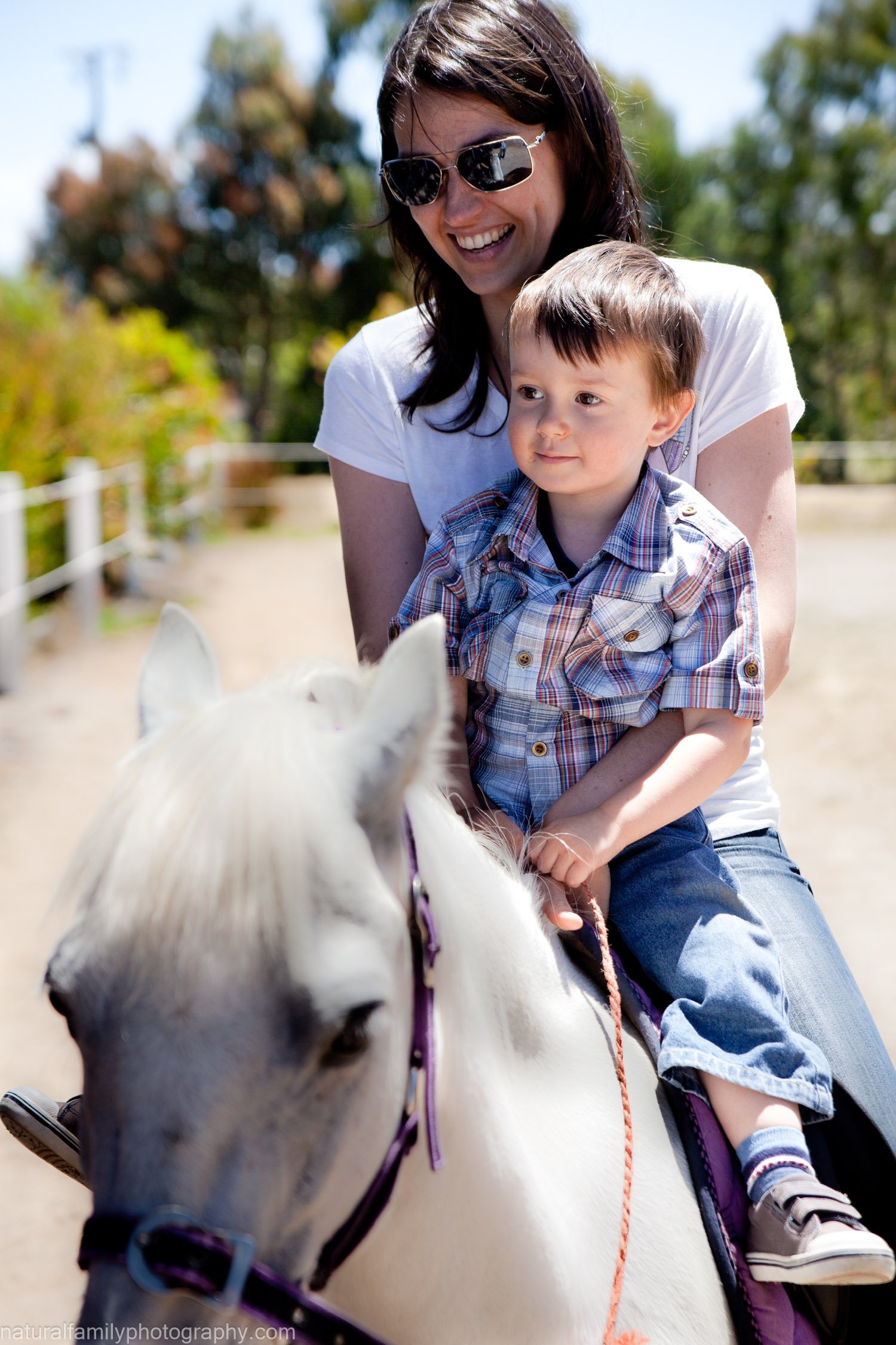 A woman and a young boy riding a white horse outdoors on a sunny day. Family and animal portraits by Natural Family Photography, Melbourne.