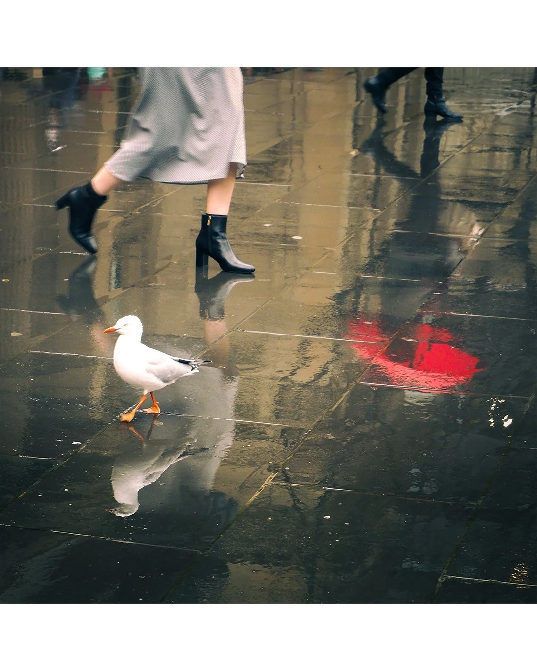 Bask in the sublime street photography of Amelia Andrighetto @__aa_photos__ 
exhibiting now in the 621 Artist Space window pods for your 24/7 viewing pleasure. The framed works are available for purchase directly from the artist.

#photography #exhib